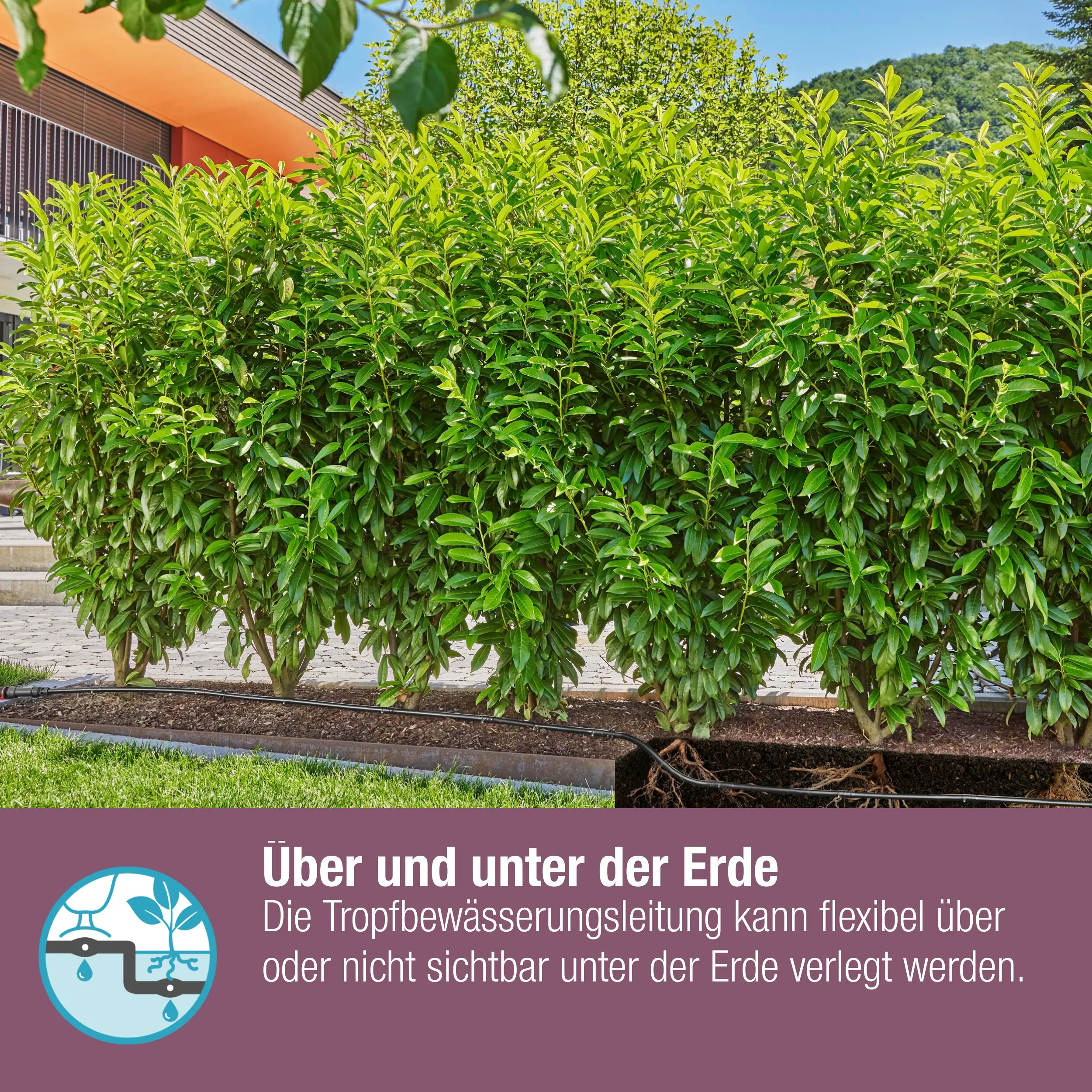Gardena Tropfbewässerung Set Hecke/Sträucher 50 m