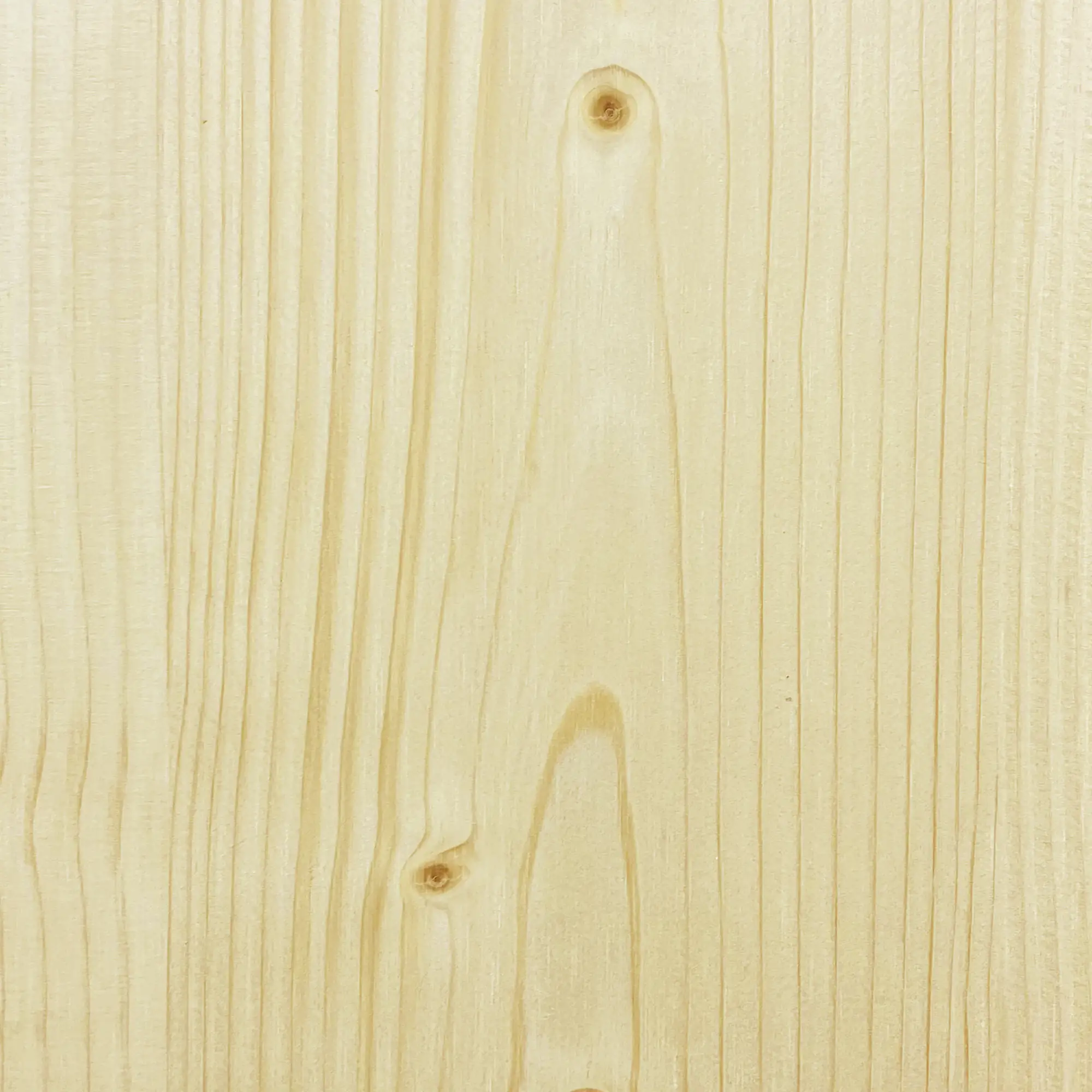 FN Neuhofer Profilleiste SF427 100 cm 20 x 8 mm Fichte oder Kiefer