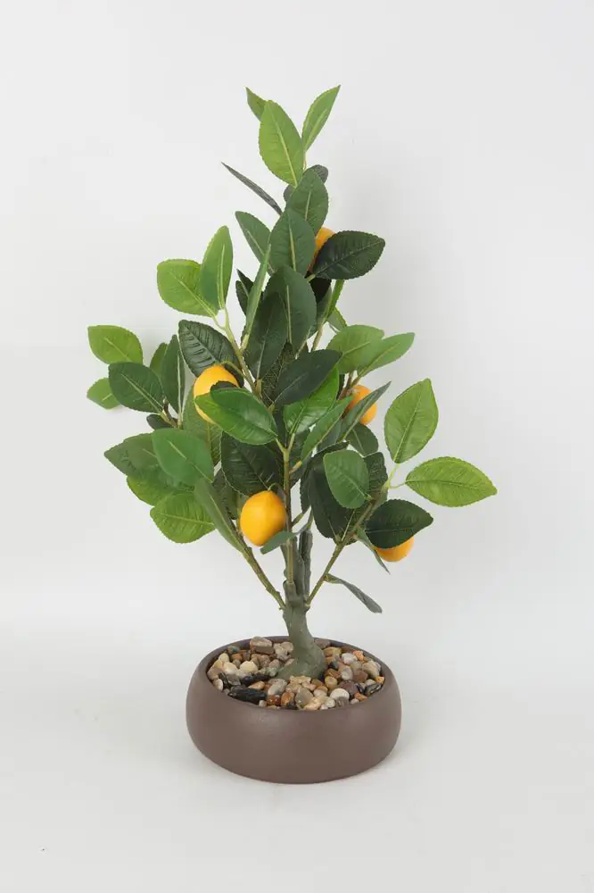 TrendLine Kunstpflanze Zitronenbaum Ø 18 x 45 cm mehrfarbig 