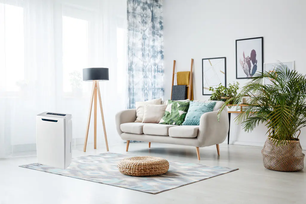 Emerio Luftentfeuchter DH-127463 bis 50 m², 25L/24h, Schuhtrocknungsfunktion Emerio Luftentfeuchter DH-127463 bis 50 m², 25L/24h, Schuhtrocknungsfunktion