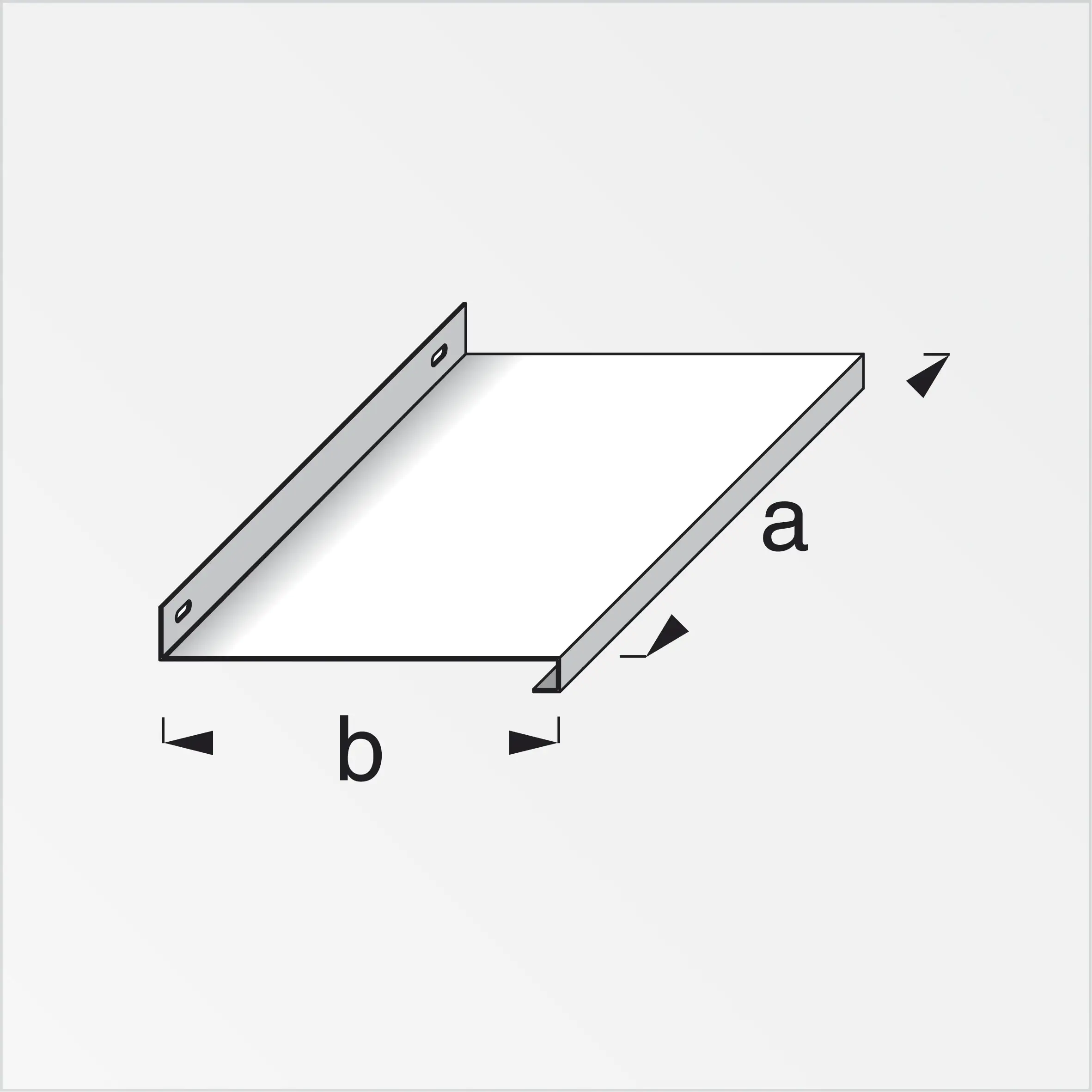 coaxis®-Tablar 800 mm 800 x 230 mm Aluminium roh blank