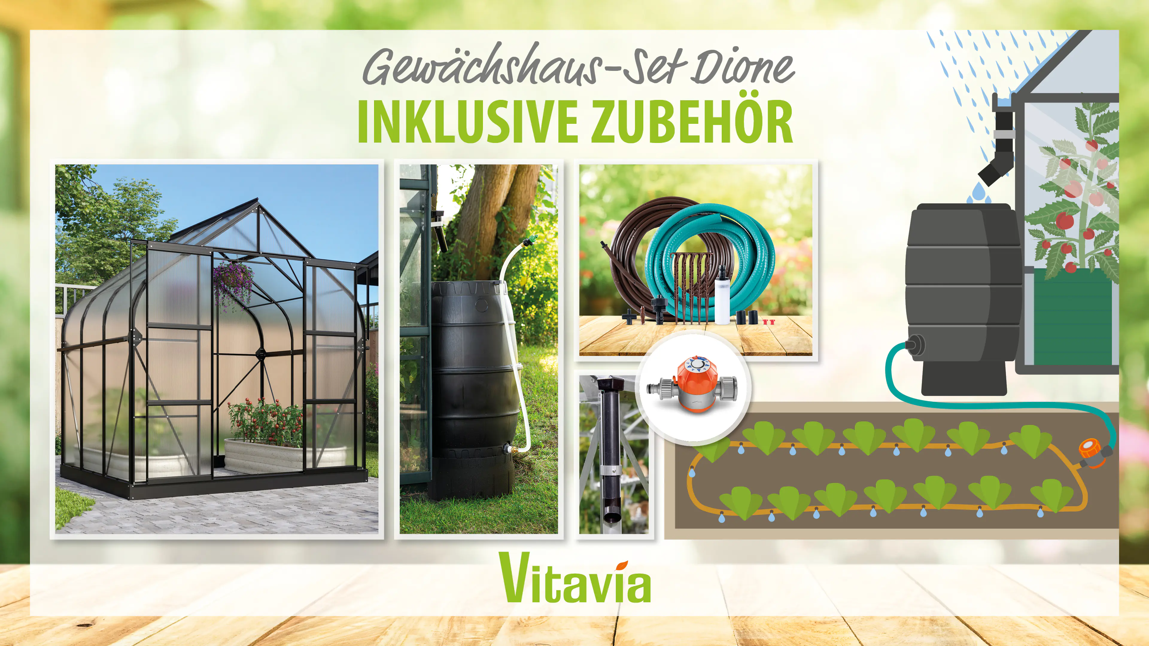 Vitavia Gewächshaus-Set Dione 5000 HKP 4 mm schwarz 254 x 192 cm