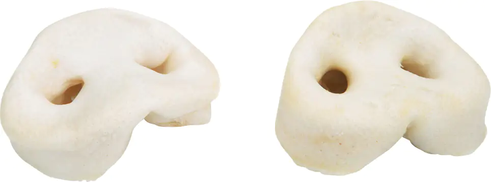 Beeztees Schweinenase 5 Stück geröstet