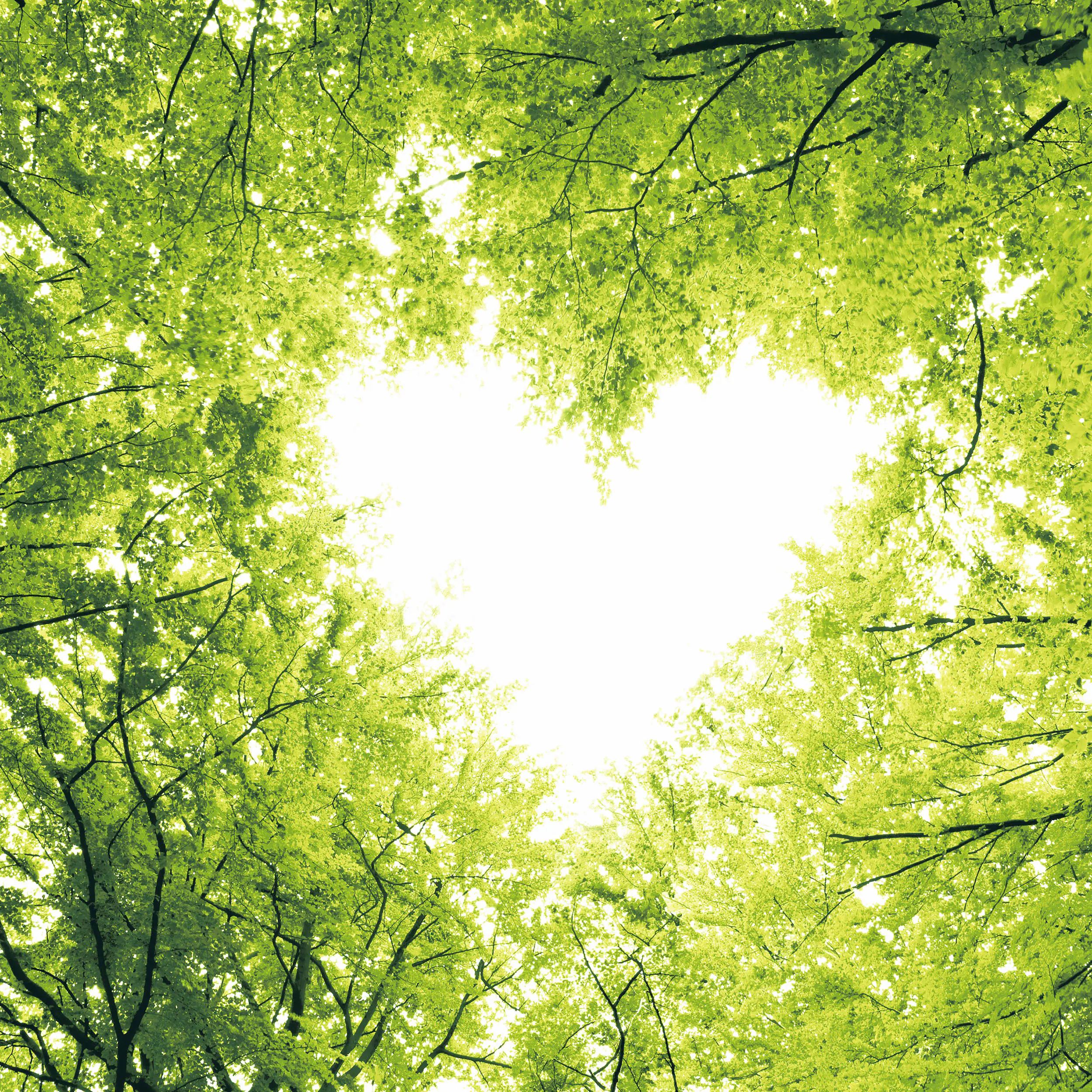 Duni Servietten Nature Love 33 x 33 cm - 20er Pack