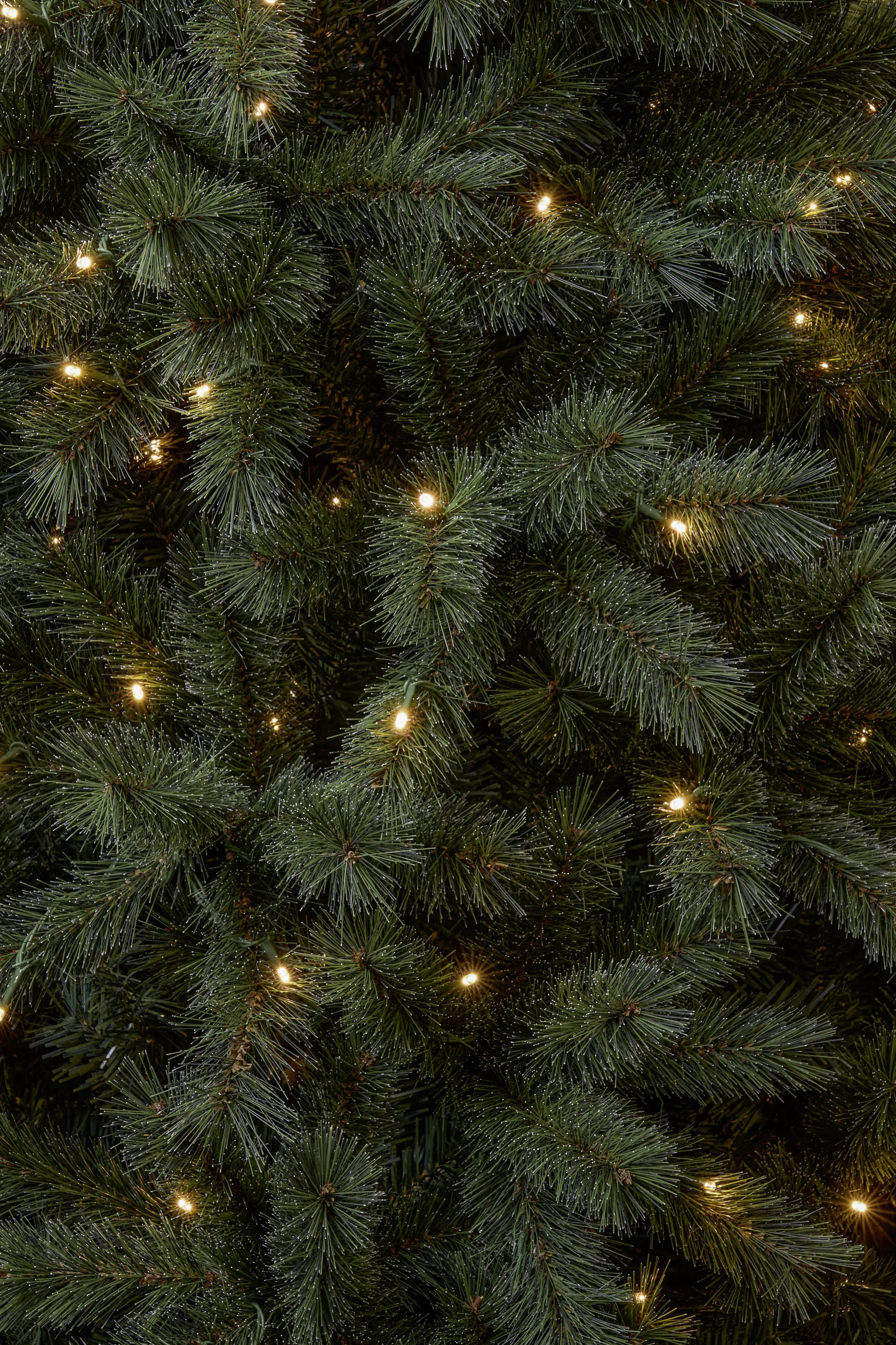 Black Box Trees Weihnachtsbaum Norwood beleuchtet mit Timer 185 cm grün