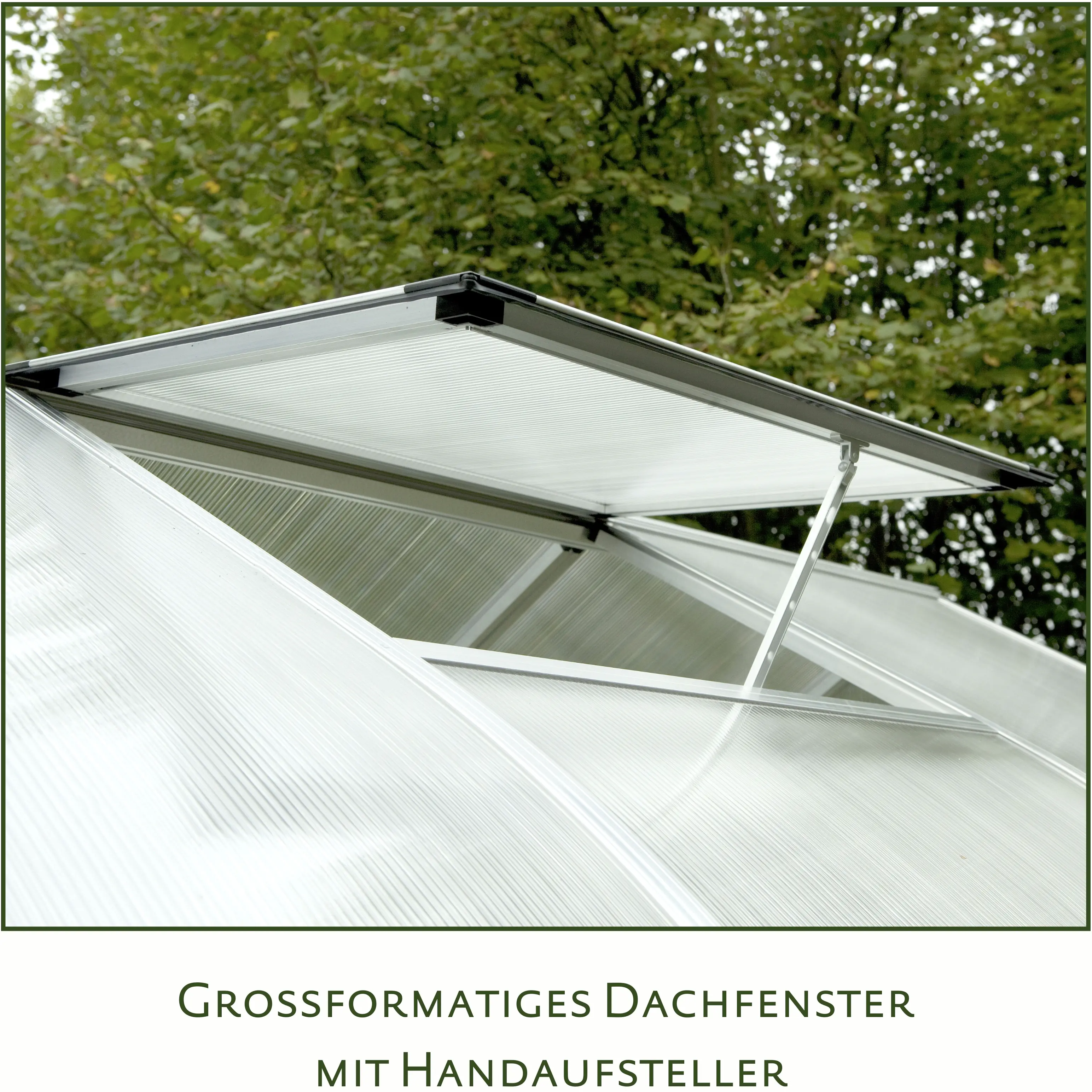 KGT Gewächshaus Rhodo IV 2,27 x 3 m, pressblank KGT Gewächshaus Rhodo IV 2,27 x 3 m, pressblank