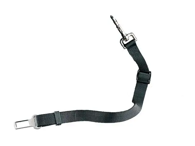 4033766022821 Nobby Sicherheitsgurt schwarz