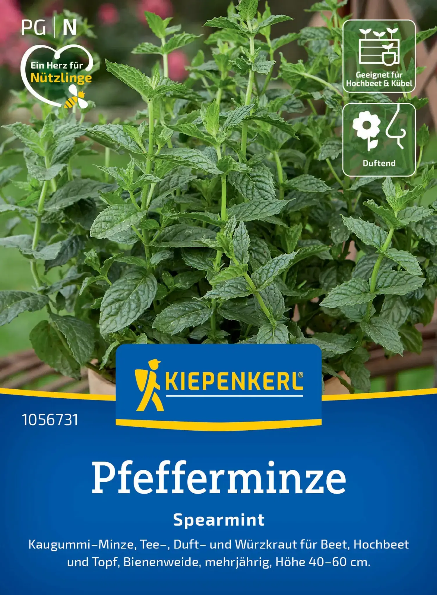 Kiepenkerl Kräutersamen Pfefferminz Spearmint für ca. 200 Pflanzen