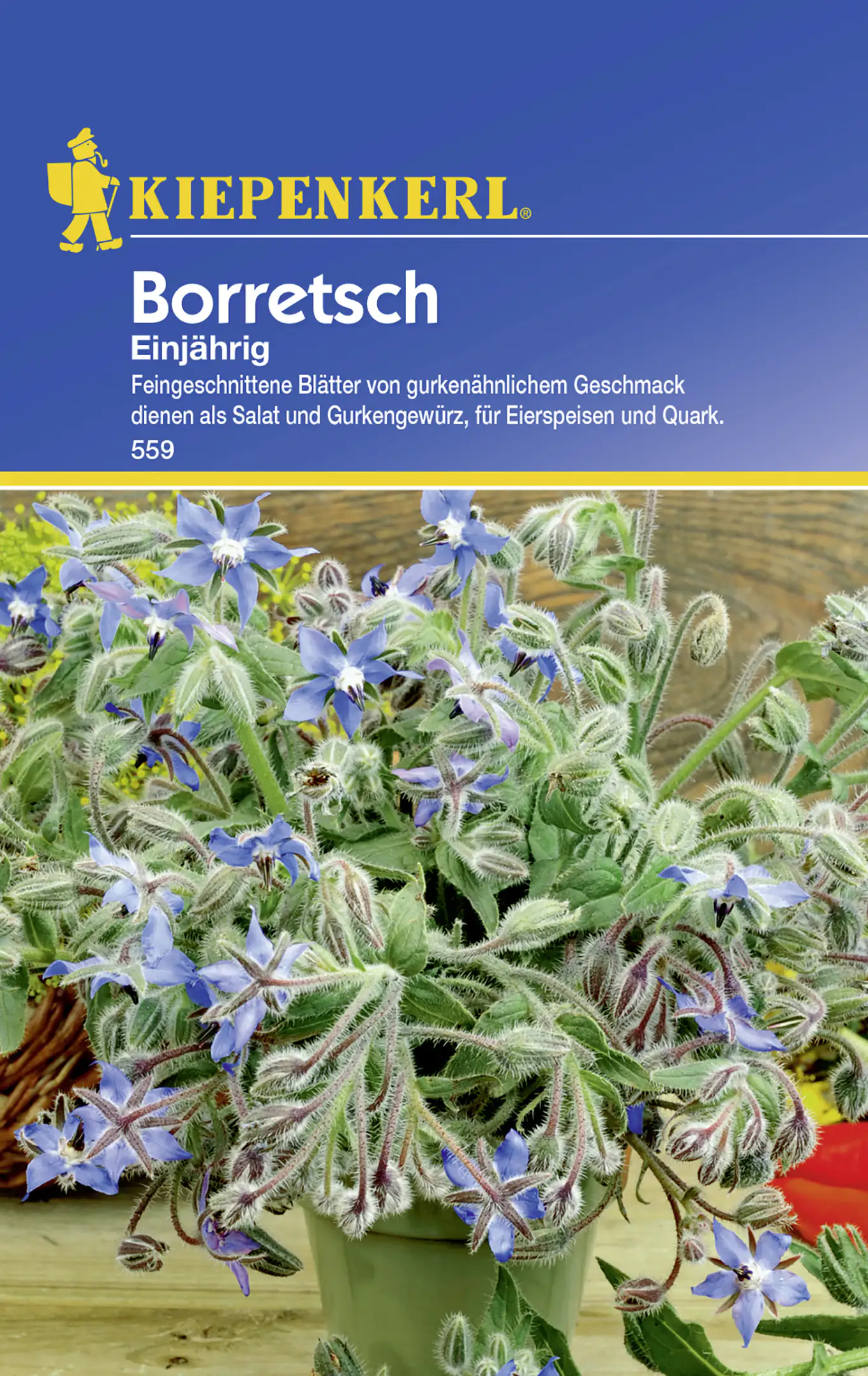 Kiepenkerl Boretsch Borretsch einjährig Borago officinalis, Inhalt: ca. 50 Pflanzen Kiepenkerl Boretsch Borretsch einjährig Borago officinalis, Inhalt: ca. 50 Pflanzen