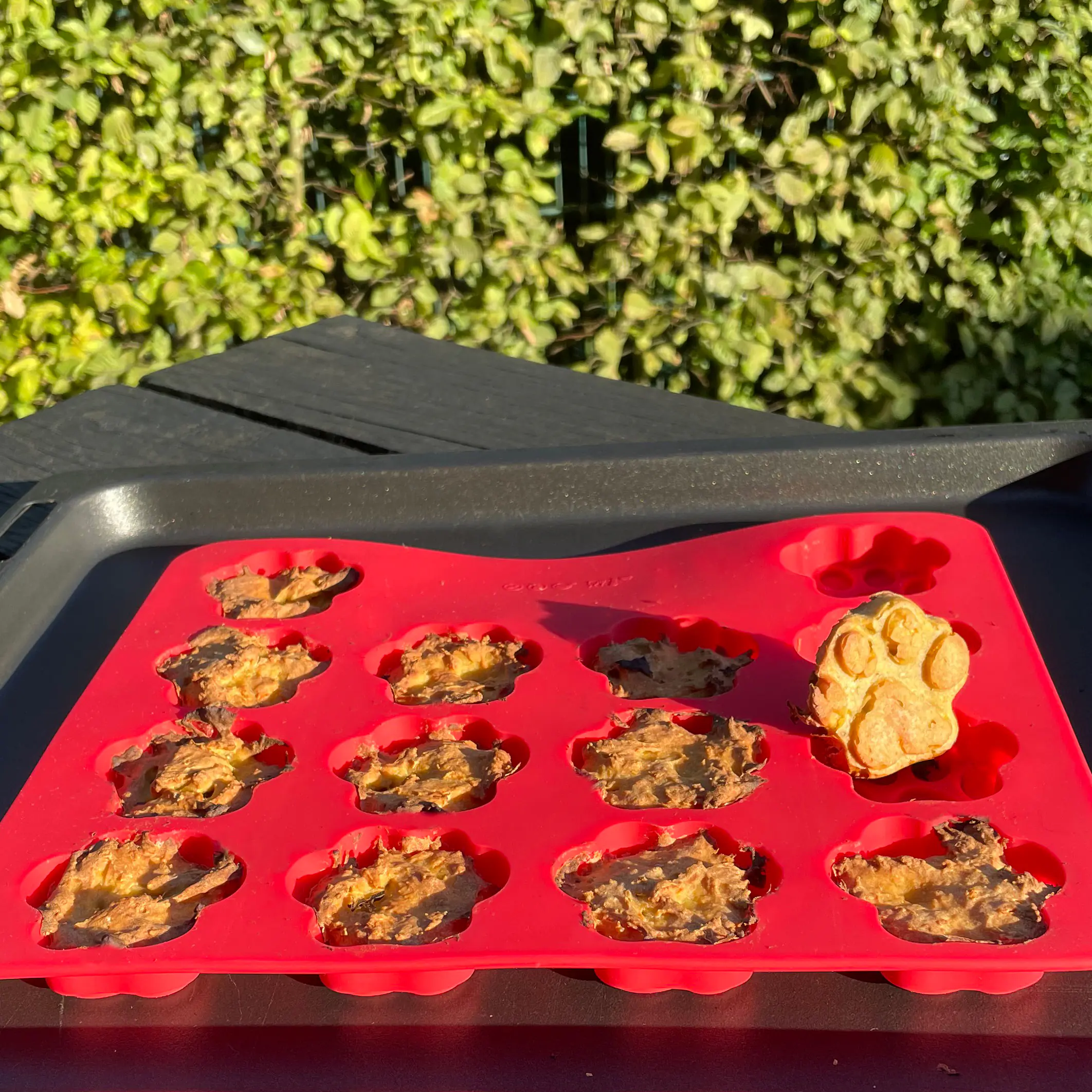 Nobby Silikon Backmatte Pfote 30 x 25 cm