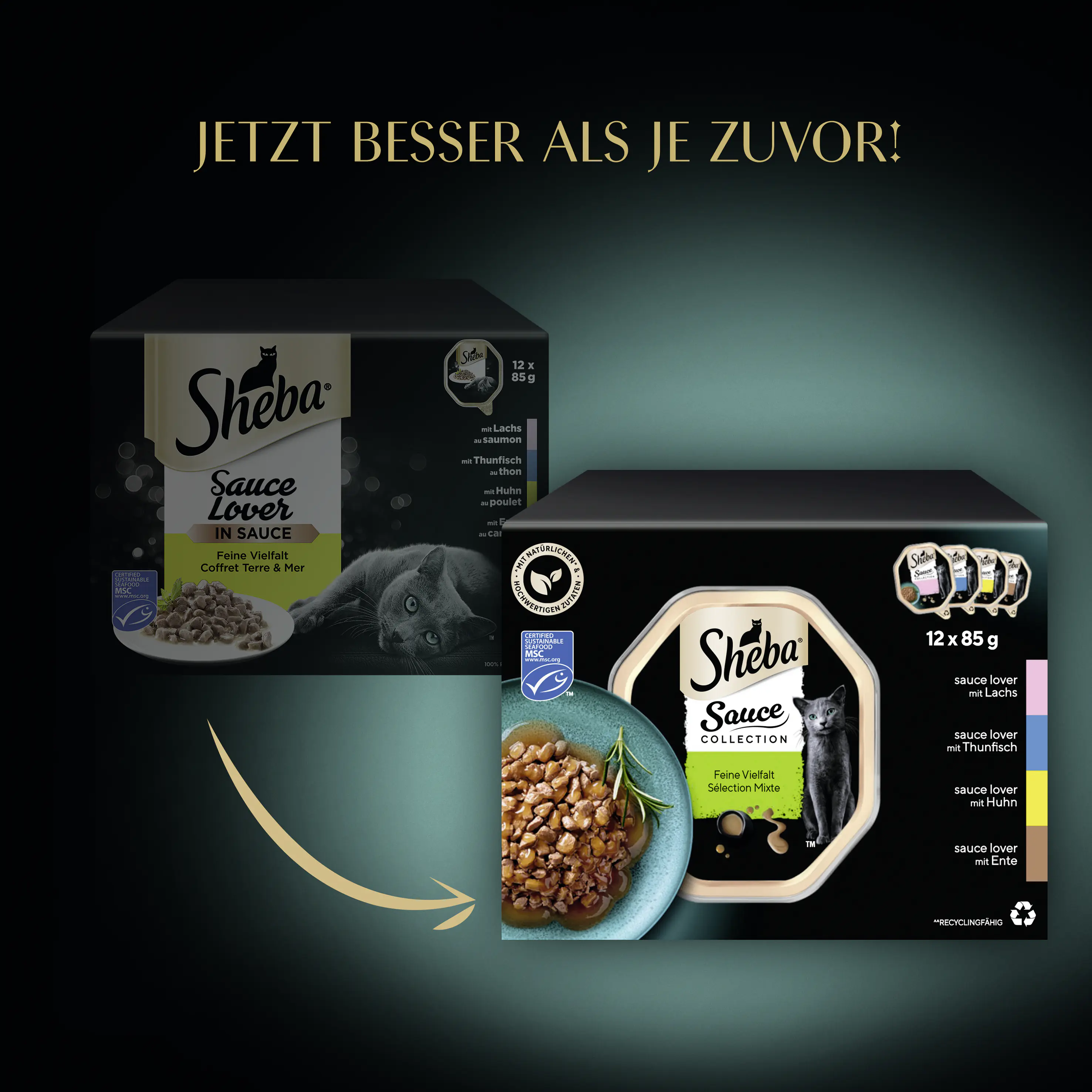 Sheba Sauce Collection Katzennassfutter Adult MSC 12 x 85 g Fisch & Fleisch Variationen Sheba Sauce Collection Katzennassfutter Adult MSC 12 x 85 g Fisch & Fleisch Variationen