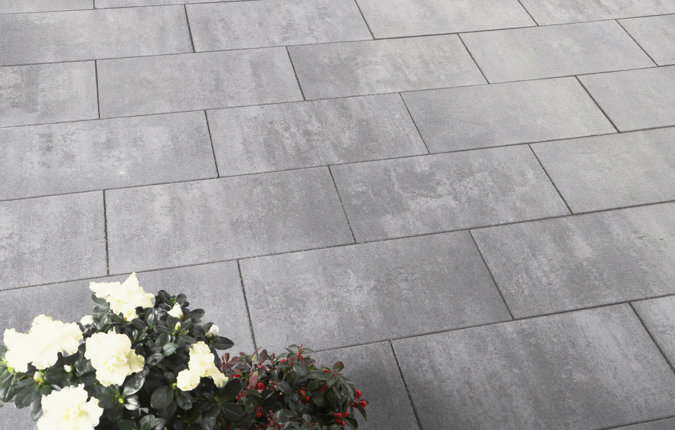 EHL Terrassenplatte Galano 60 x 30 x 5 cm grau EHL Terrassenplatte Galano 60 x 30 x 5 cm grau