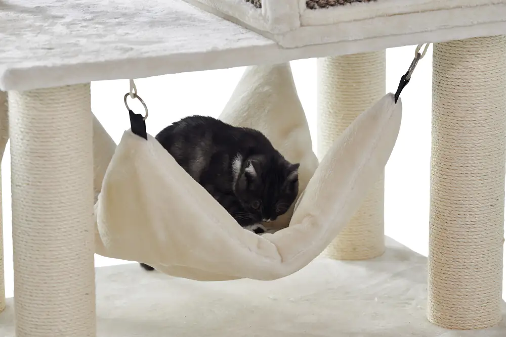 Nobby Kratzbaum Juan H 166 cm cream