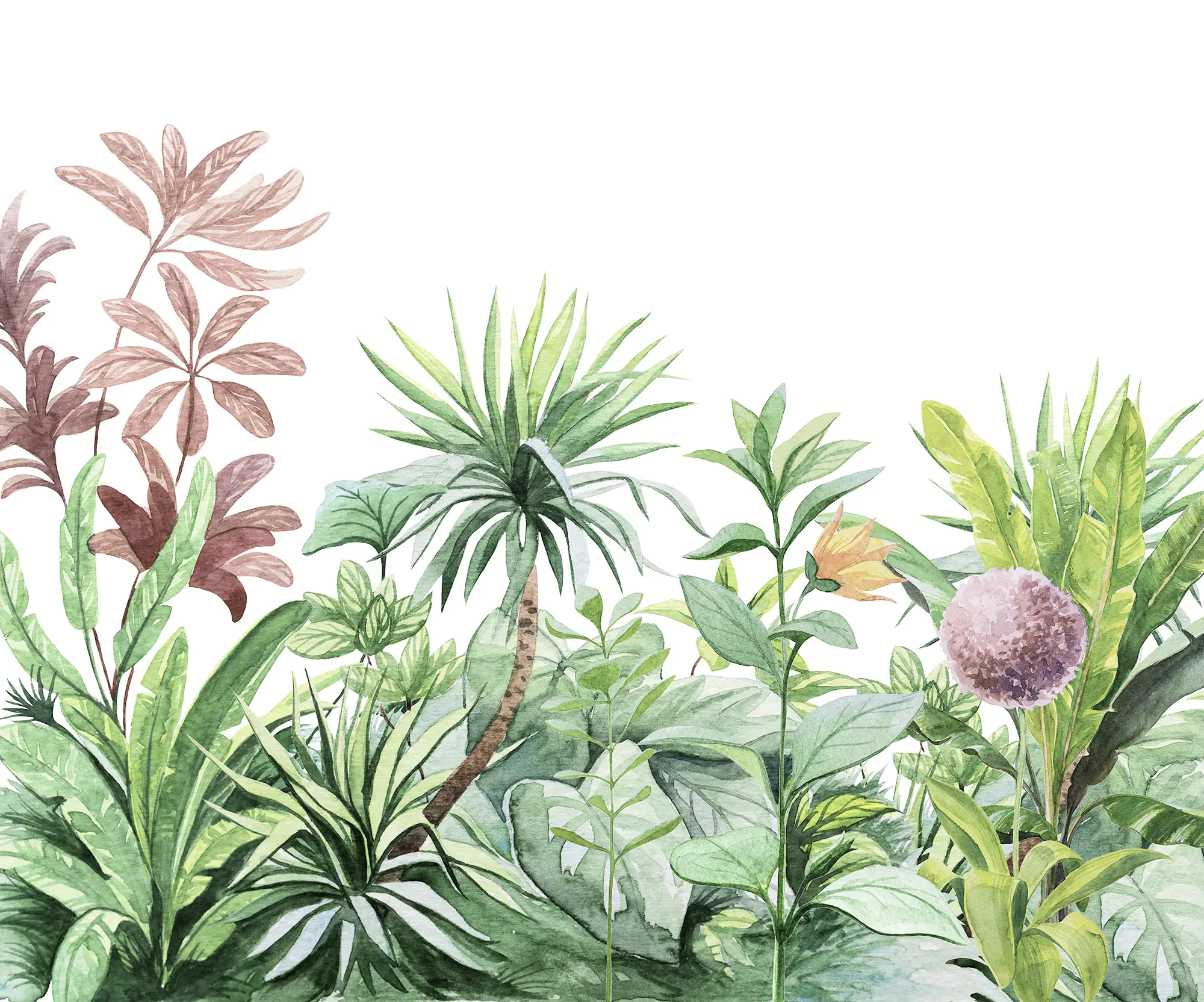 Komar Vlies Fototapete Terrain 300 x 250 cm 