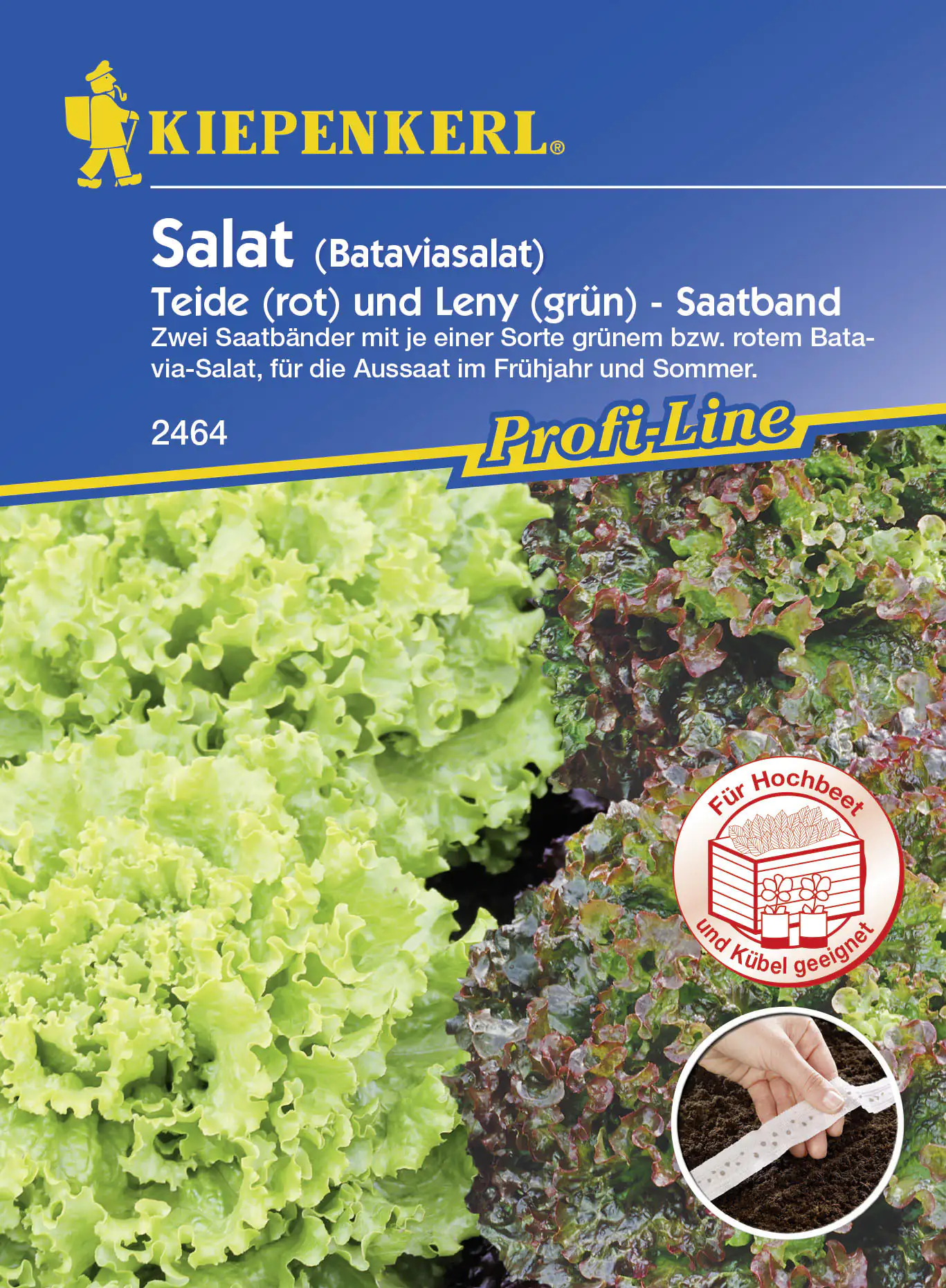 Kiepenkerl Batavia-Salat Teide Leny Lactuca sativa, Inhalt: 2 x 2,5 Meter Saatreihe Kiepenkerl Batavia-Salat Teide Leny Lactuca sativa, Inhalt: 2 x 2,5 Meter Saatreihe