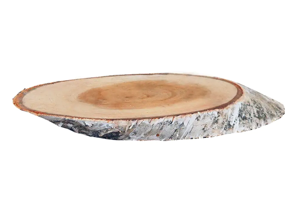 4260546685215 Birkenholzscheiben oval 100% Natur 18-30 cm ø