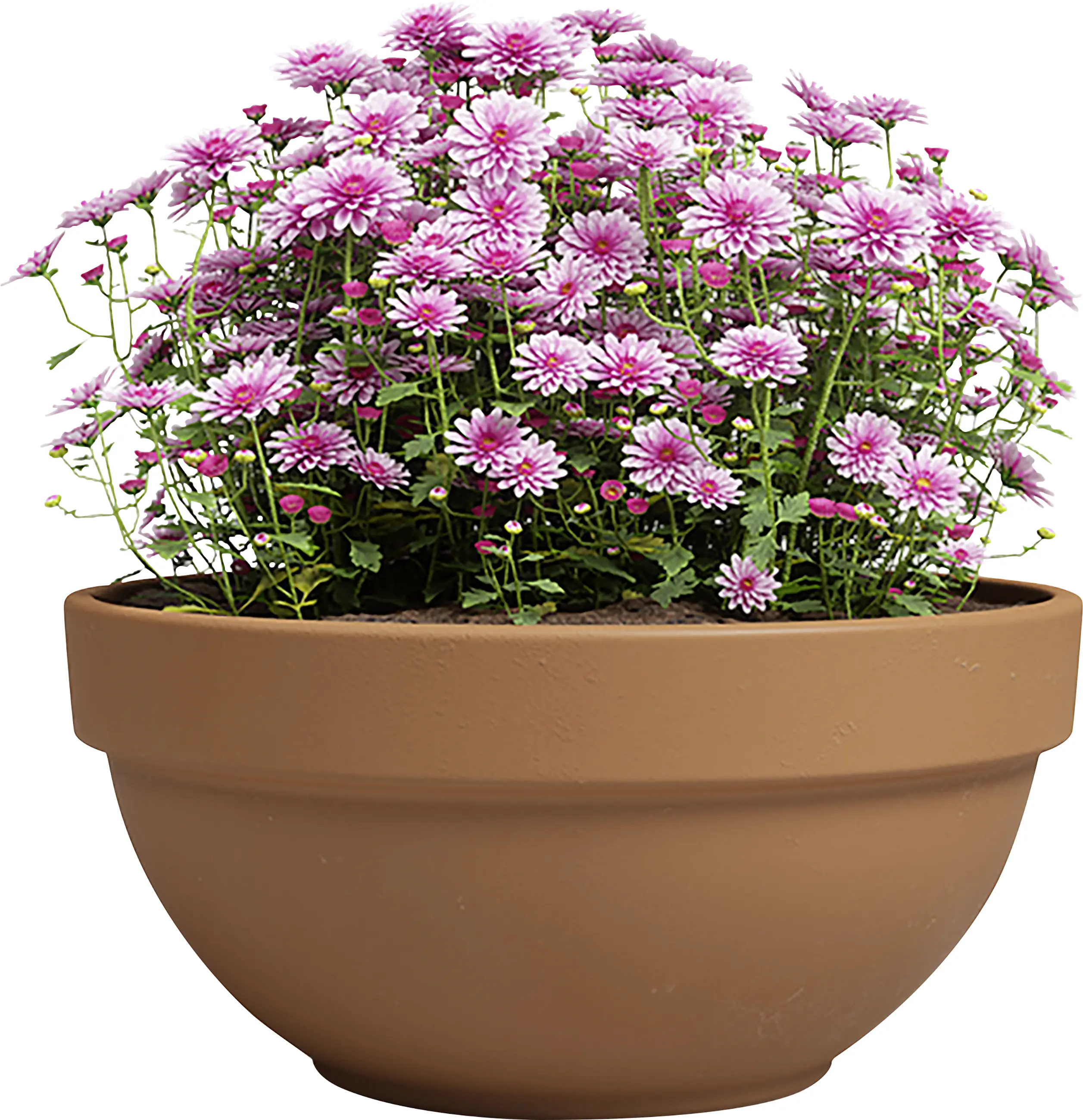 Artevasi Pflanzschale Amália Campana Terrakotta tonrot Ø 35 x 16 cm