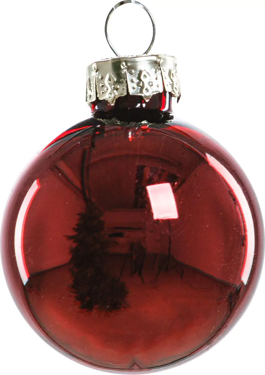2076601538912_02 TrendLine Weihnachtskugeln aus Glas Ø 3,5 cm ochsenblut 16 Stück