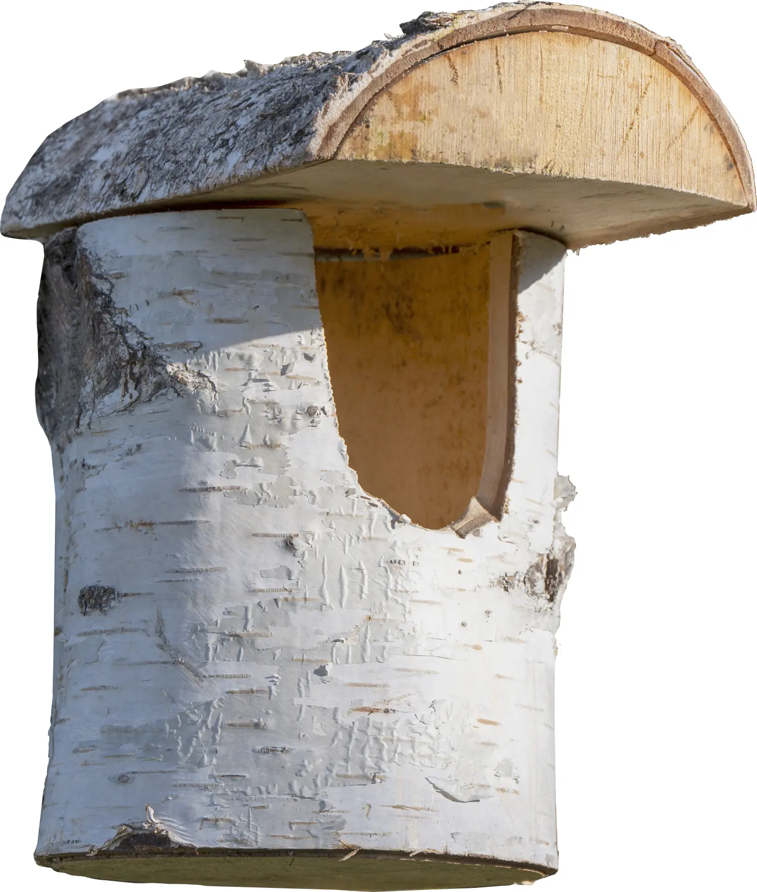 Dobar Nistkasten aus Birkenholz Einflugloch 80 mm 14 x 22 x 24 cm