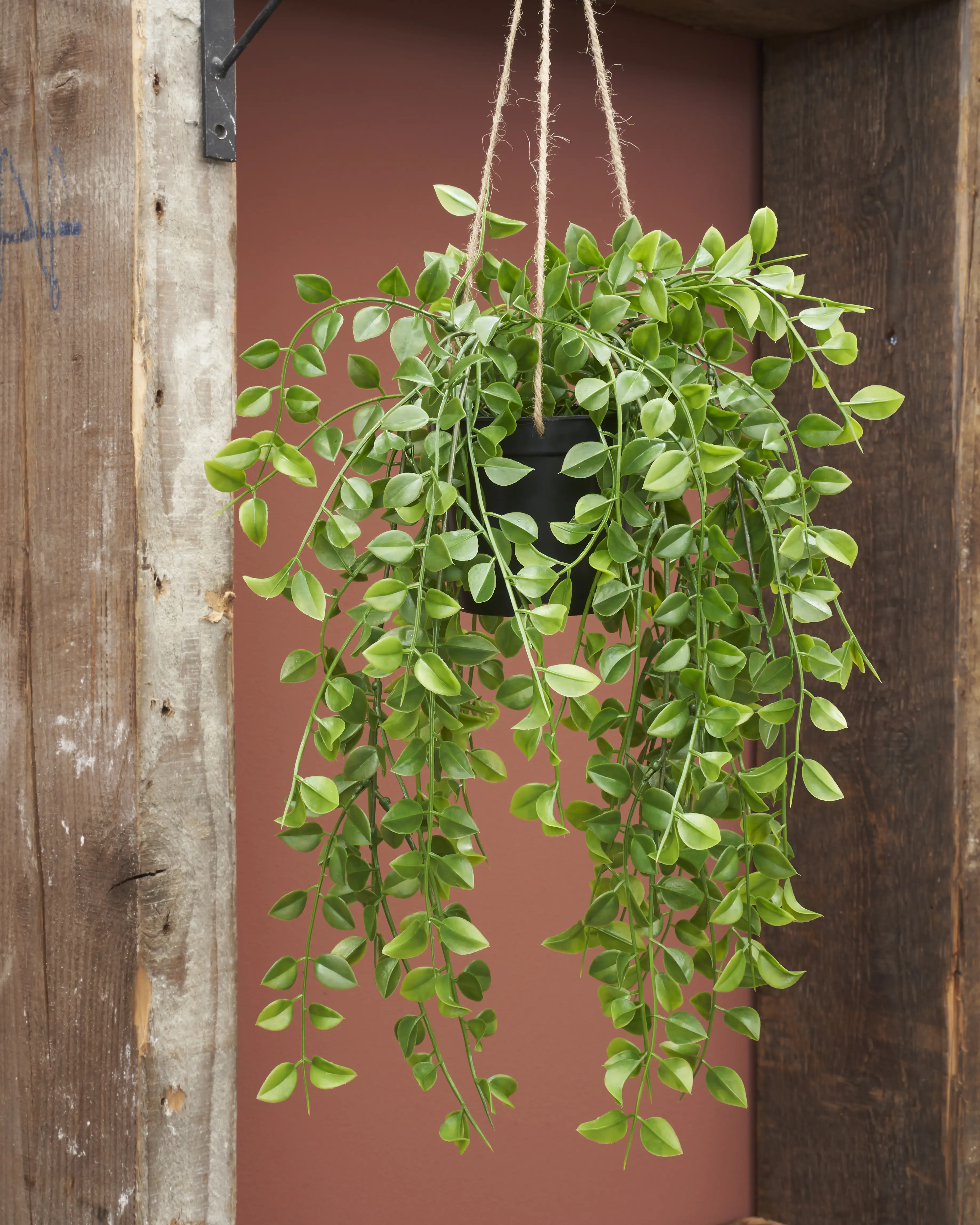 Mica Kunstpflanze Ficus grün, 81 cm