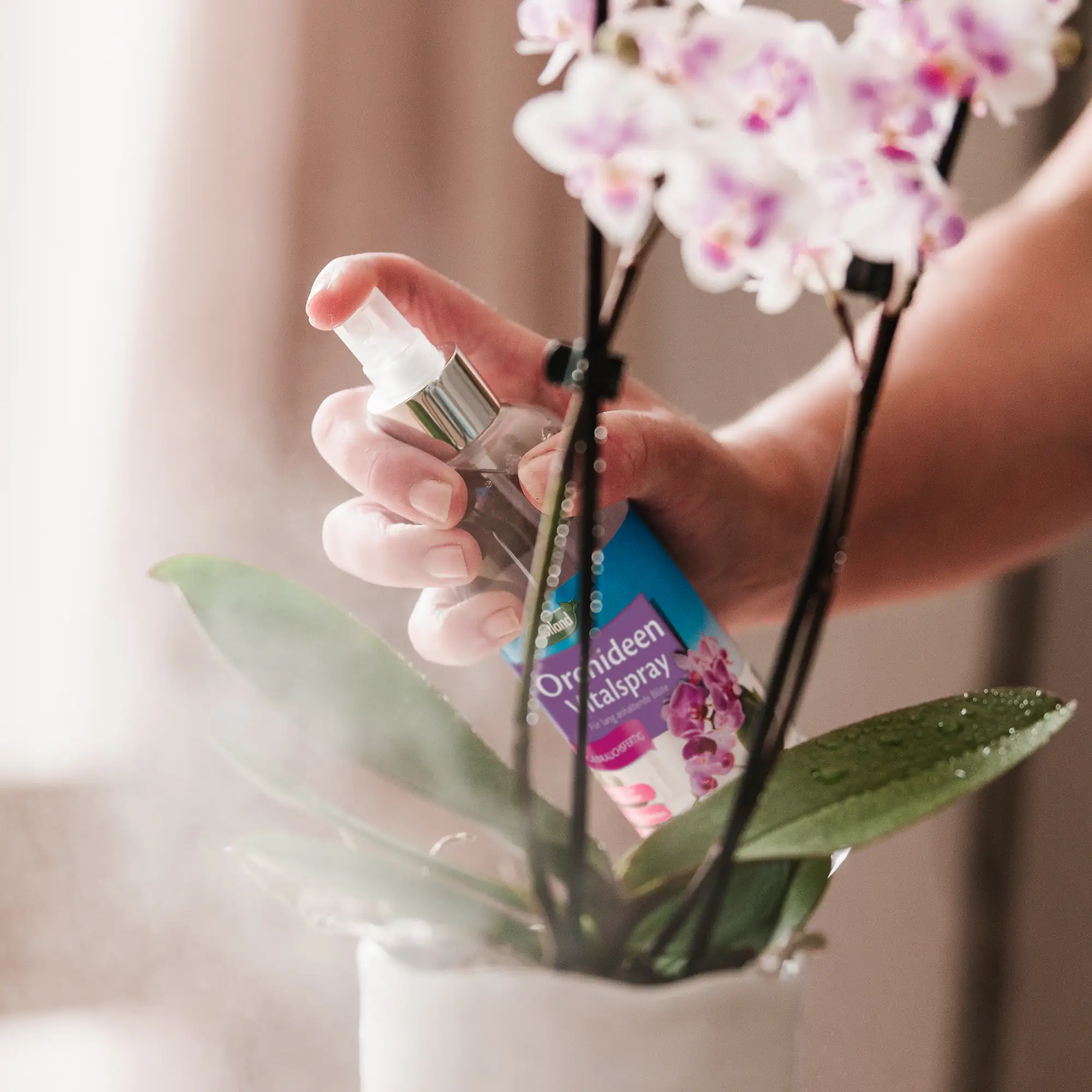 Westland Orchideen Vitalspray 250 ml