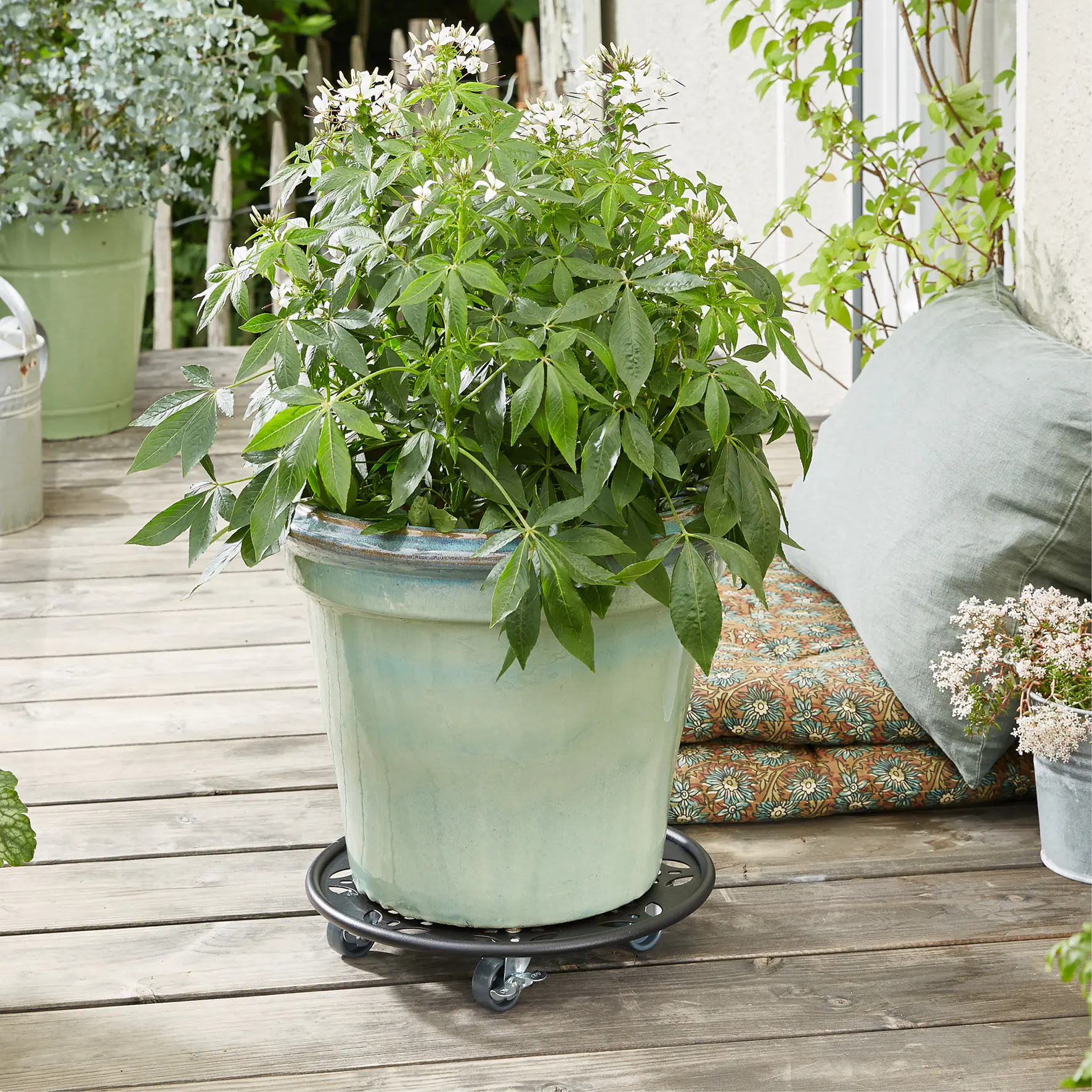 WAGNER Pflanzenroller Stahl rund Ø 30 cm Tragkraft bis max. 100 kg