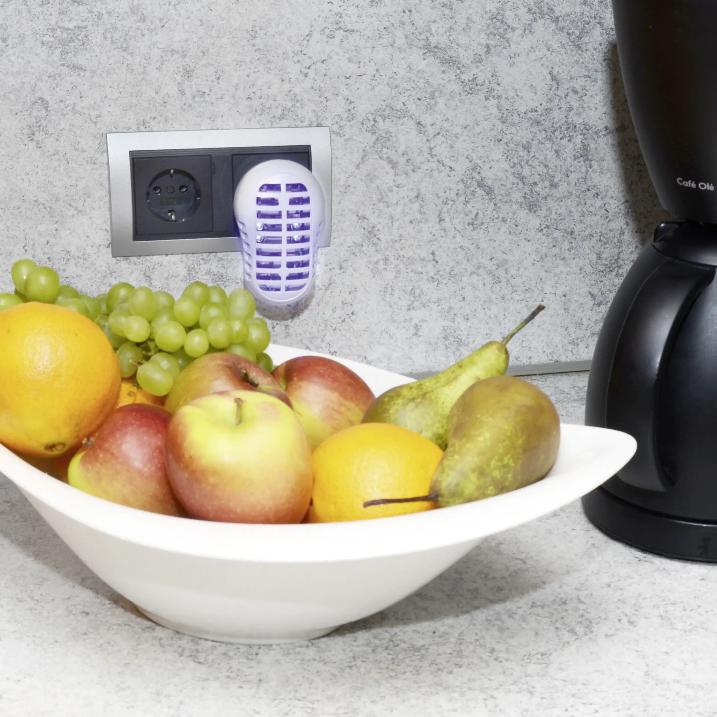 Gardigo Obstfliegen Vernichter direkt aus der Steckdose, Insektenvernichter