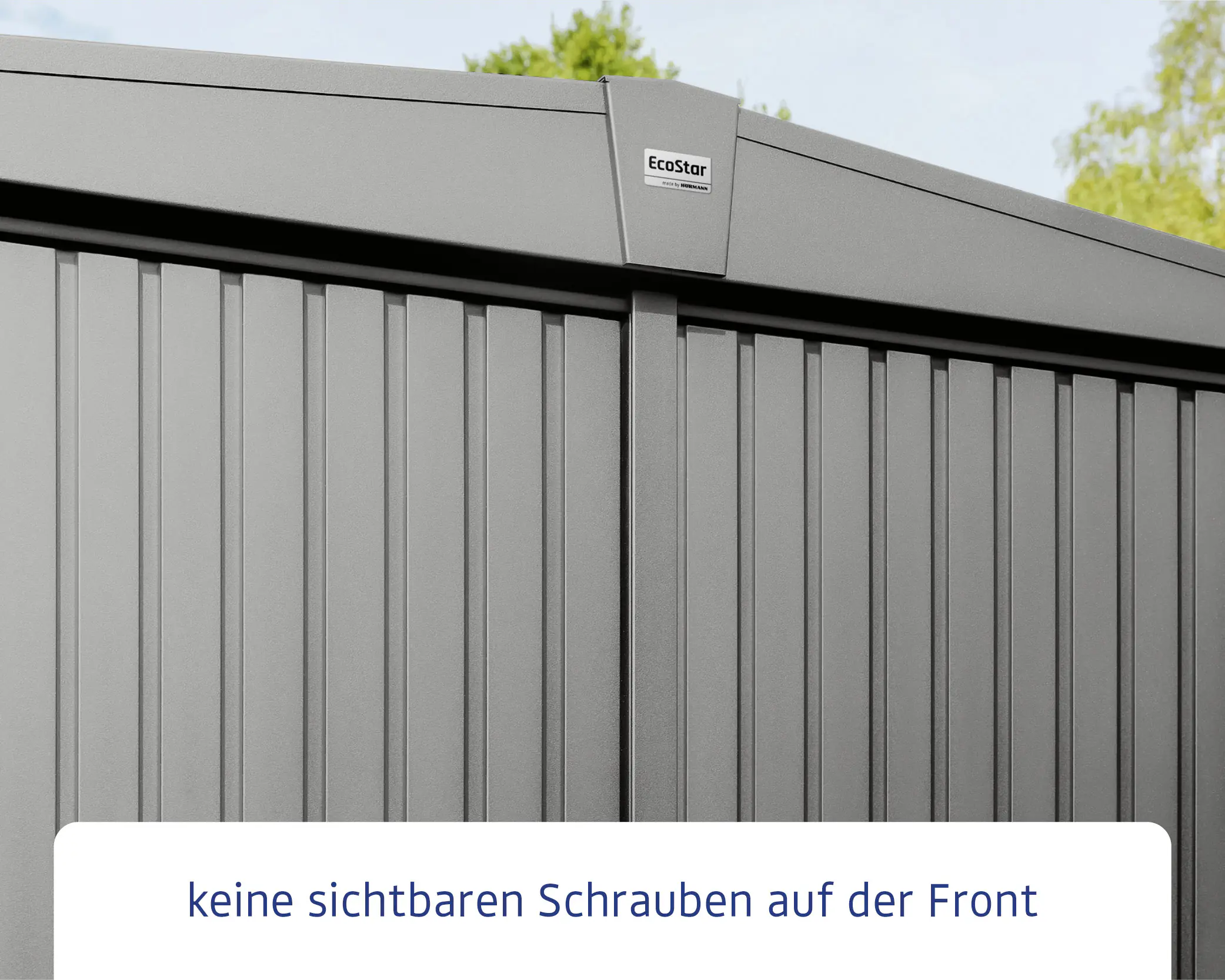 EcoStar Gerätehaus Trend-S Typ 2 258,8 x 247,7 x 216 cm graualuminium