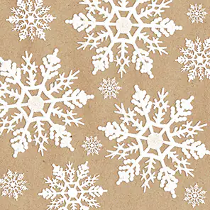 4014995428219 Braun & Company Servietten By Nature White Crystals 33 x 33 cm - 20er Pack
