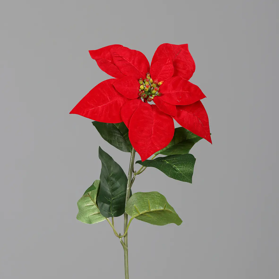 DPI Poinsettia rot 55 cm