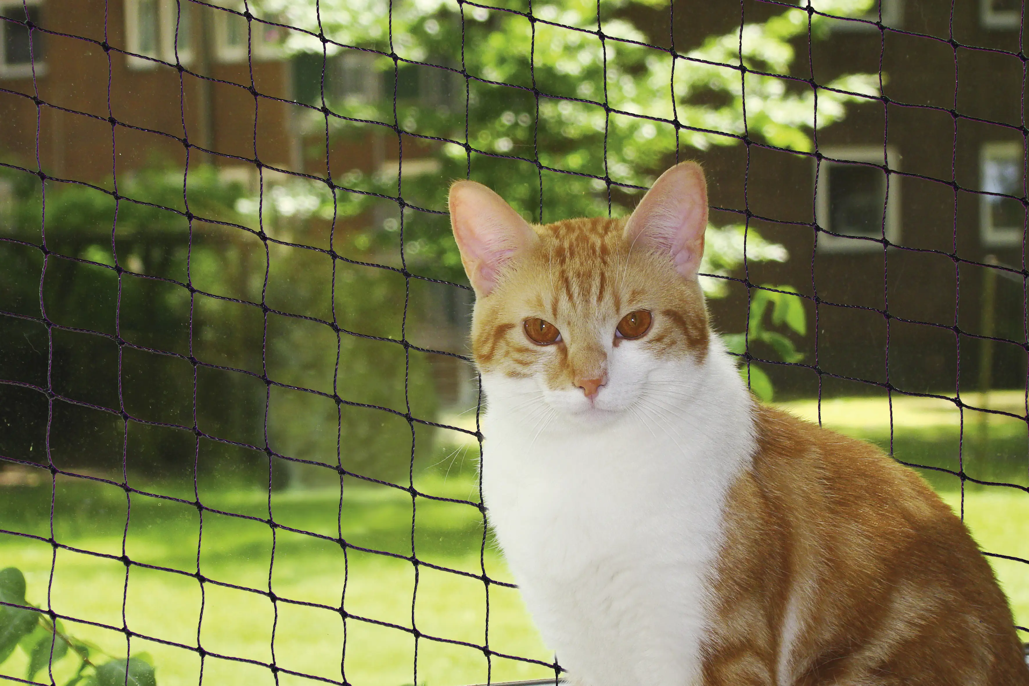 4033766801051 Nobby Katzenschutznetz schwarz Größe S 2 x 3 m