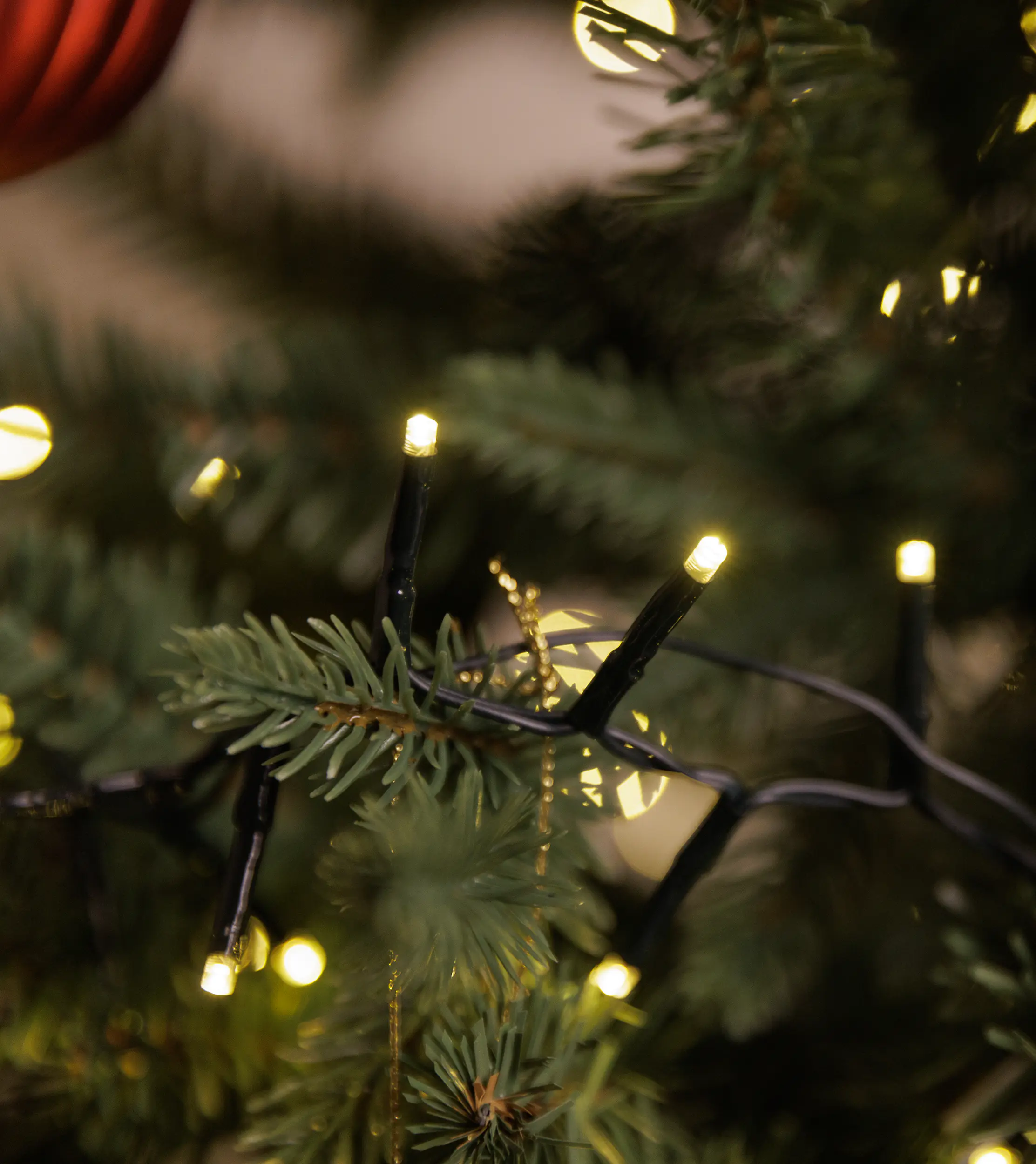 TrendLine LED-Lichterkette Premium Außen 7,2 m warmweiß-grün mit Timer, Dimmer TrendLine LED-Lichterkette Premium Außen 7,2 m warmweiß-grün mit Timer, Dimmer