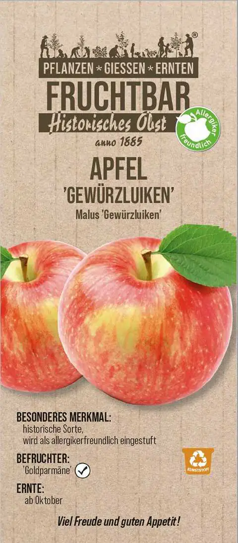 Stadt Ernte Bio Obstbaum Apfel Gewürzluiken H 150 cm 29 cm Topf