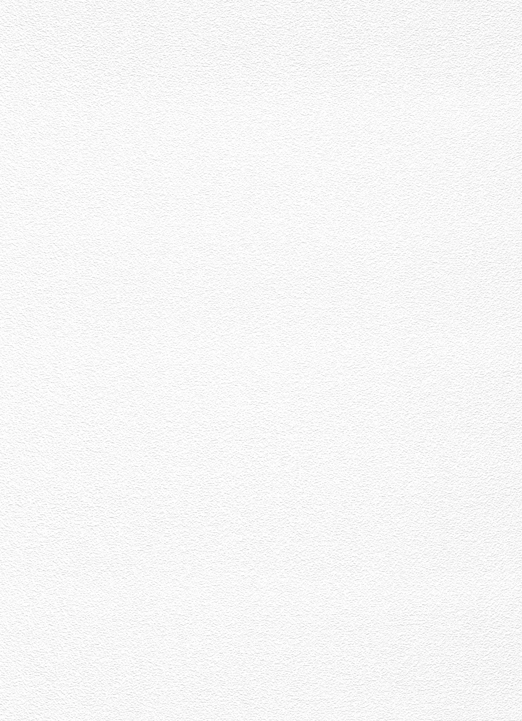 Erismann Vliestapete Putzstruktur weiß 15 x 0,53 m