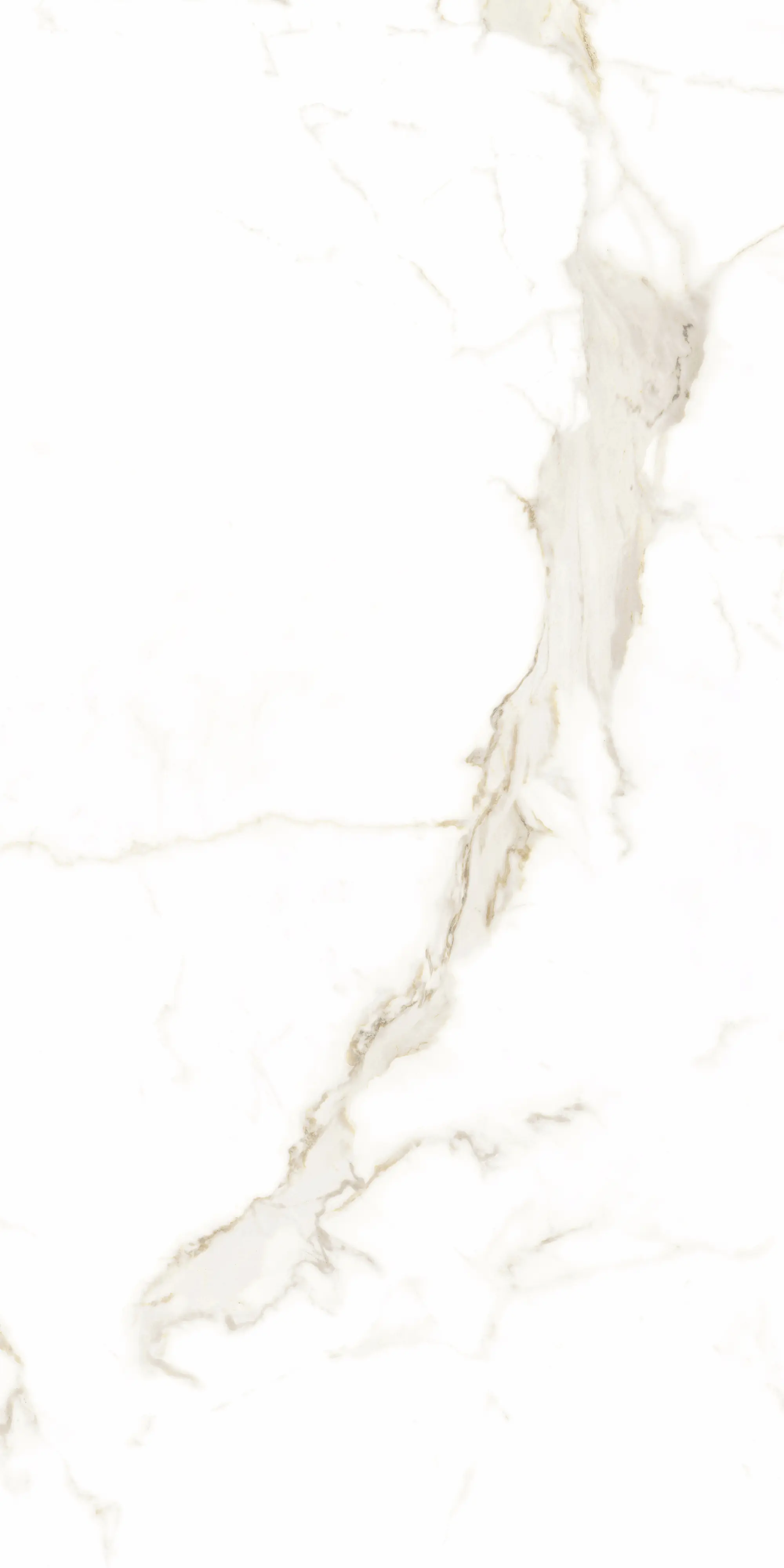 Bodenfliese Feinsteinzeug Alcora 60 x 120 cm weiß/gold