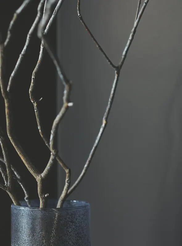 Alpina Feine Farben Wandfarbe No. 33 Stille des Vulkans - mystisches anthrazit 2,5 L