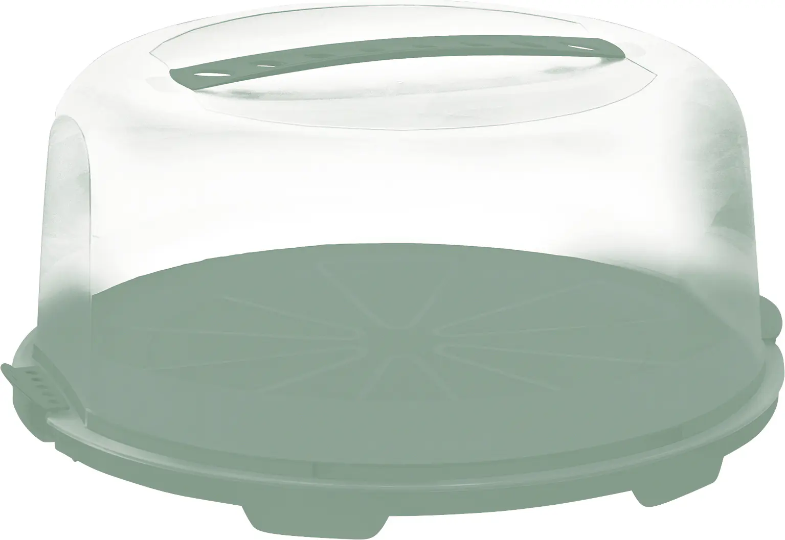 Rotho Tortenglocke Fresh hoch mistletoe grün