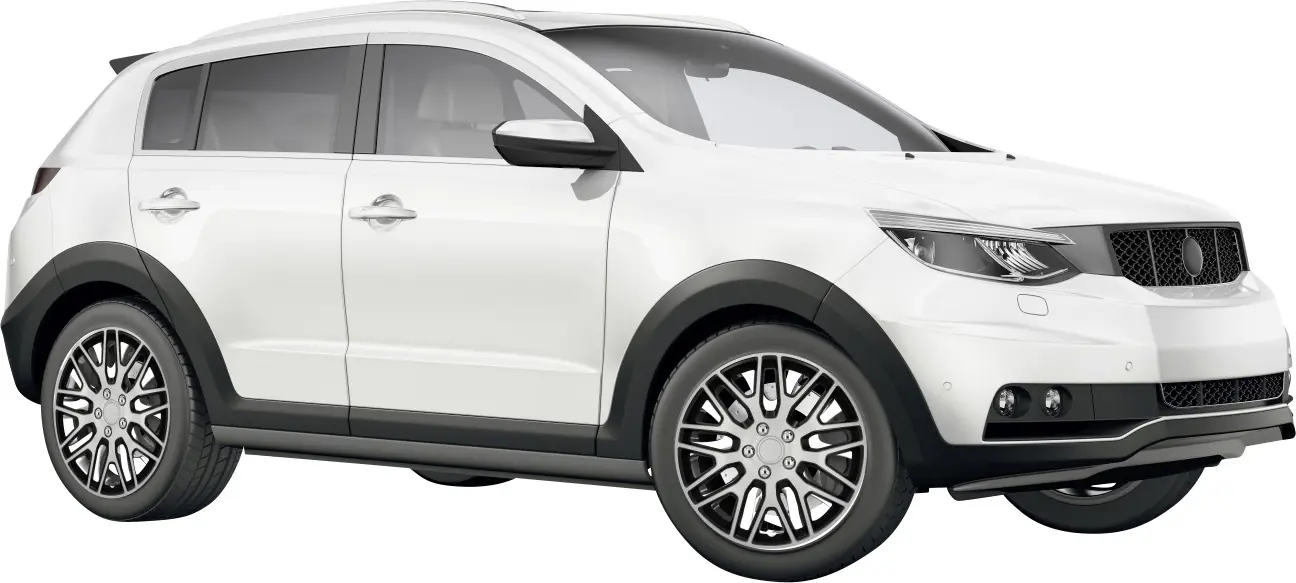 Cartrend Radzierblende Branch 35 cm (14 Zoll) silber schwarz 4 stück
