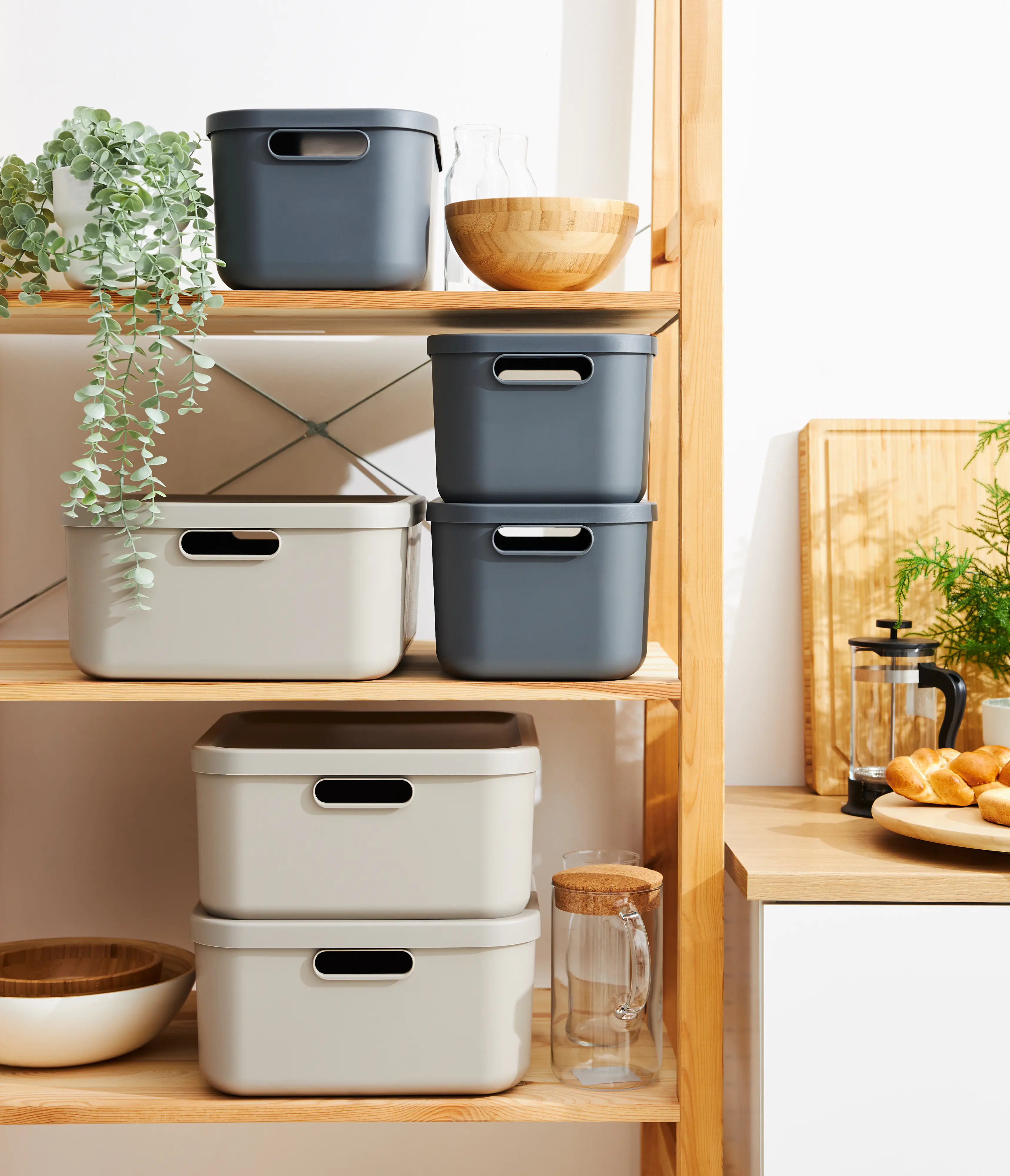 Rotho Aufbewahrungsbox 12 L Albula anthrazit inkl. Deckel  Rotho Aufbewahrungsbox 12 L Albula anthrazit inkl. Deckel