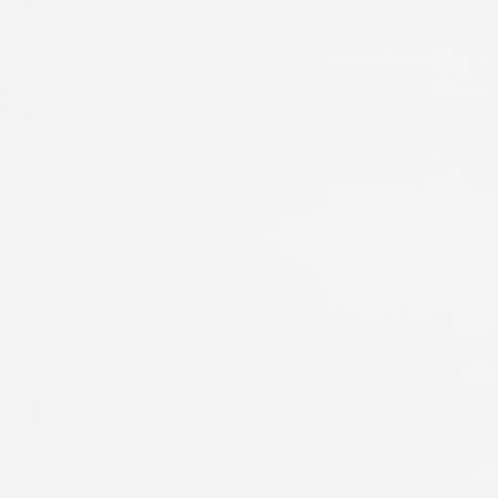 Neuhofer Fußleiste 202 cm x 80 x 10 mm weiß Neuhofer Fußleiste 202 cm x 80 x 10 mm weiß