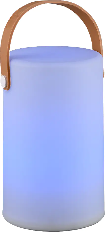 Reality Leuchten LED Akku-Tischleuchte Aruba Akku USB-Ladefunktion