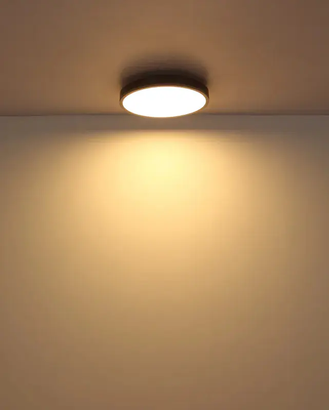 Globo Deckenleuchte Doro Ø 45 x 8,5 cm silber warmweiß