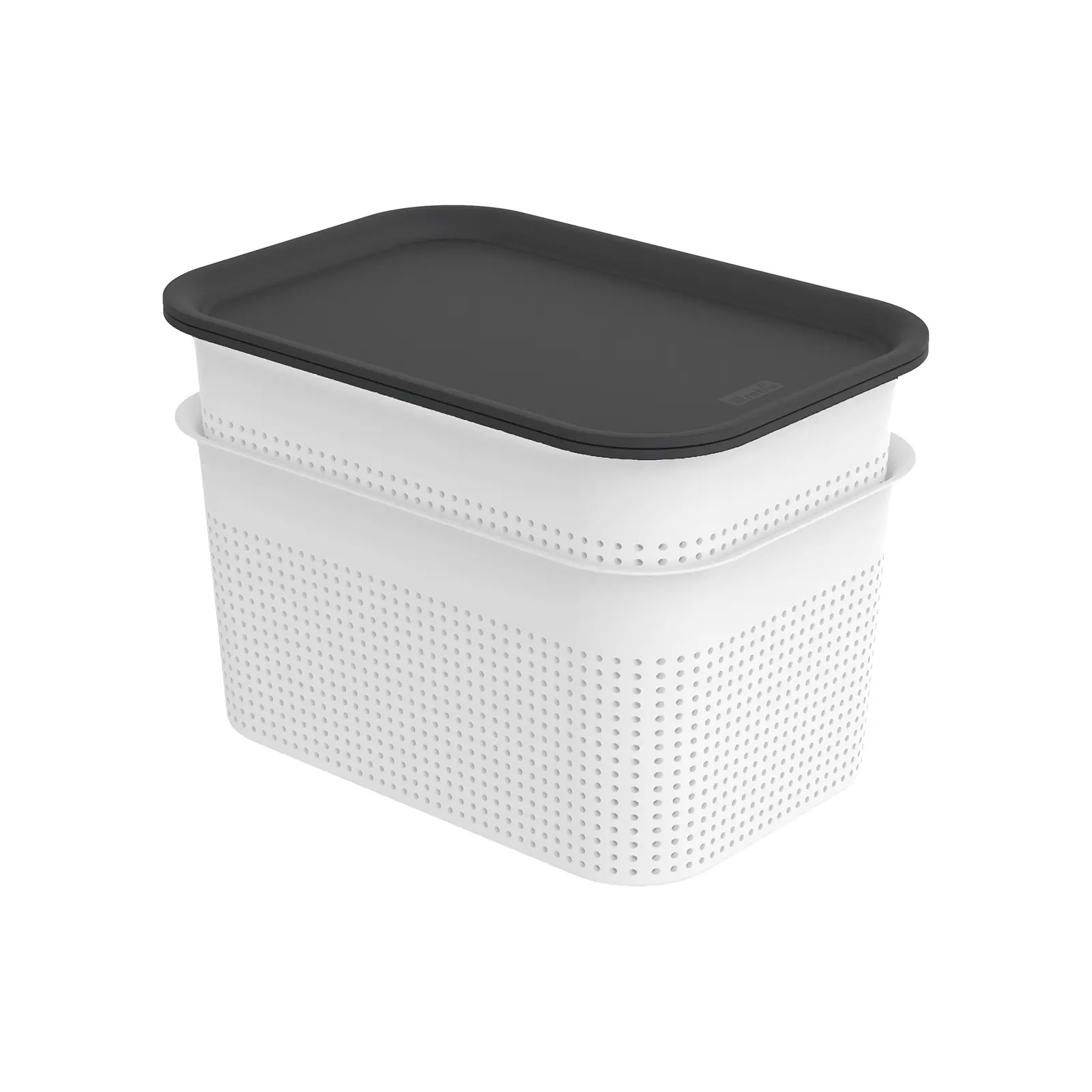 Rotho Aufbewahrungsbox Brisen mit Deckel 26,5 x18,5 cm 4,5 L mistletoe weiß 2er Set