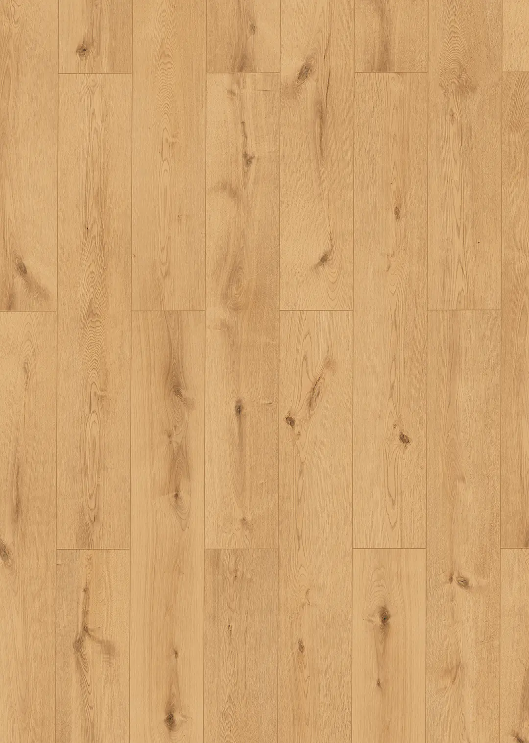 Classen Vinyl Designboden Ceramin Floors Tera Fundy Oak