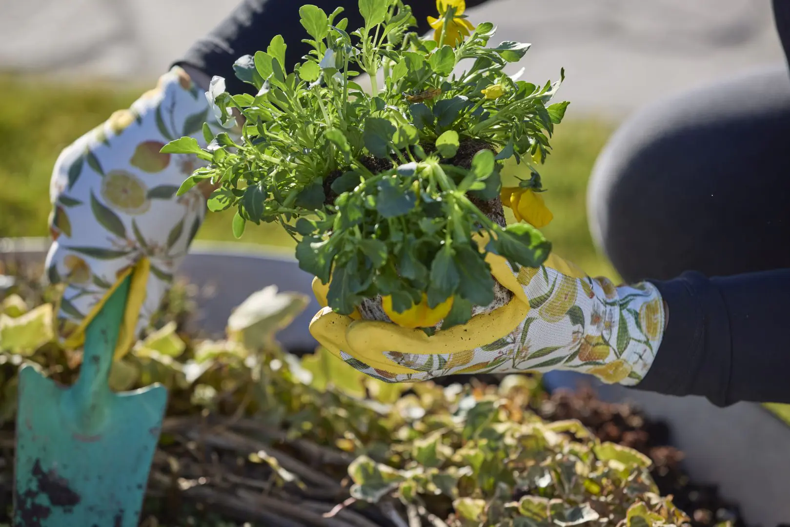 Handschuh Gardeluxe Lemon