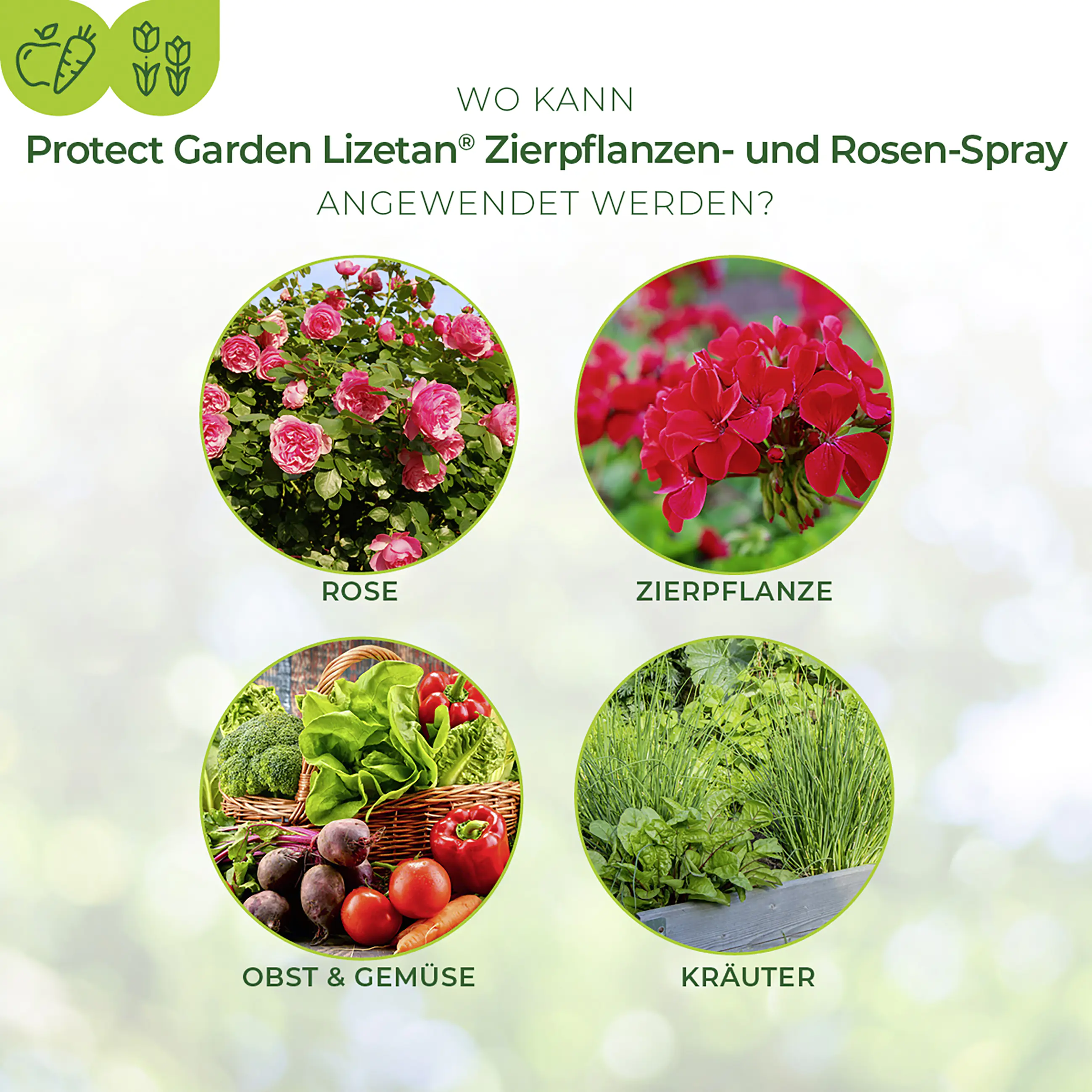 Protect Garden Lizetan Zierpflanzen- & Rosen-Spray AF 750 ml Protect Garden Lizetan Zierpflanzen- & Rosen-Spray AF 750 ml