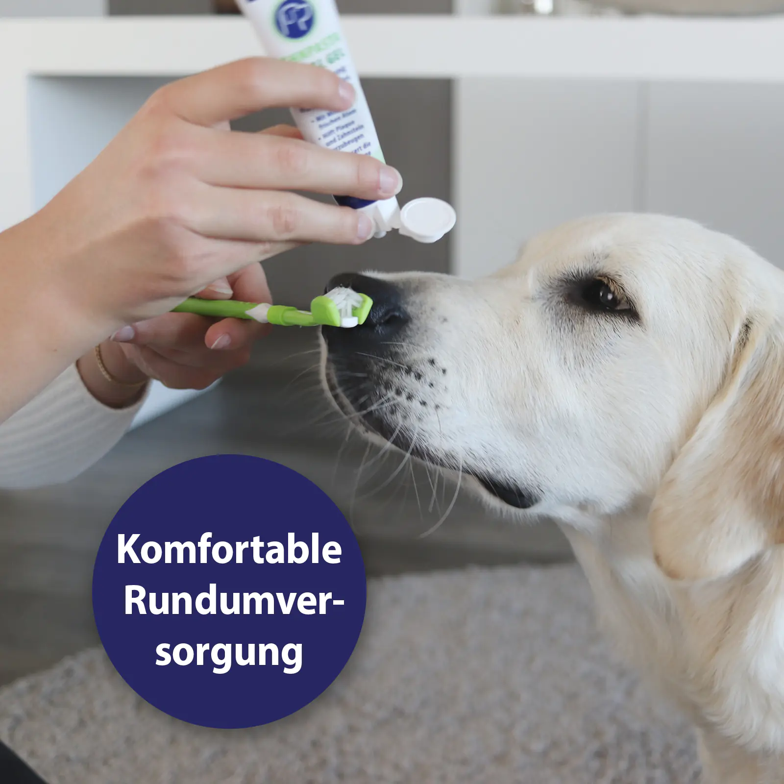 Canosept Zahnpflege-Set für Hunde 3-teilig Canosept Zahnpflege-Set für Hunde 3-teilig