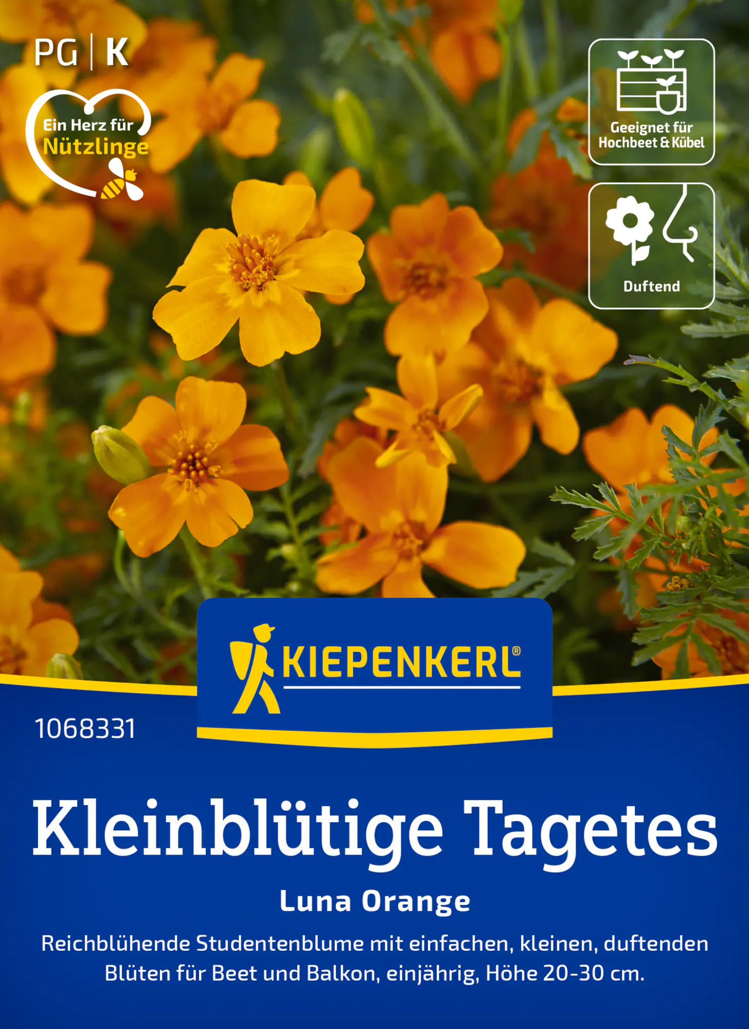 Kiepenkerl Saatgut Kleinblütige Tagetes Luna Orange für ca. 100 m²