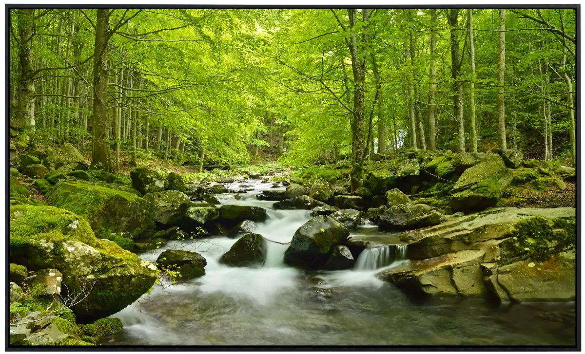 papermoon Infrarotheizkörper EcoHeat 75x120 cm 900 Watt Wasserfall im Wald