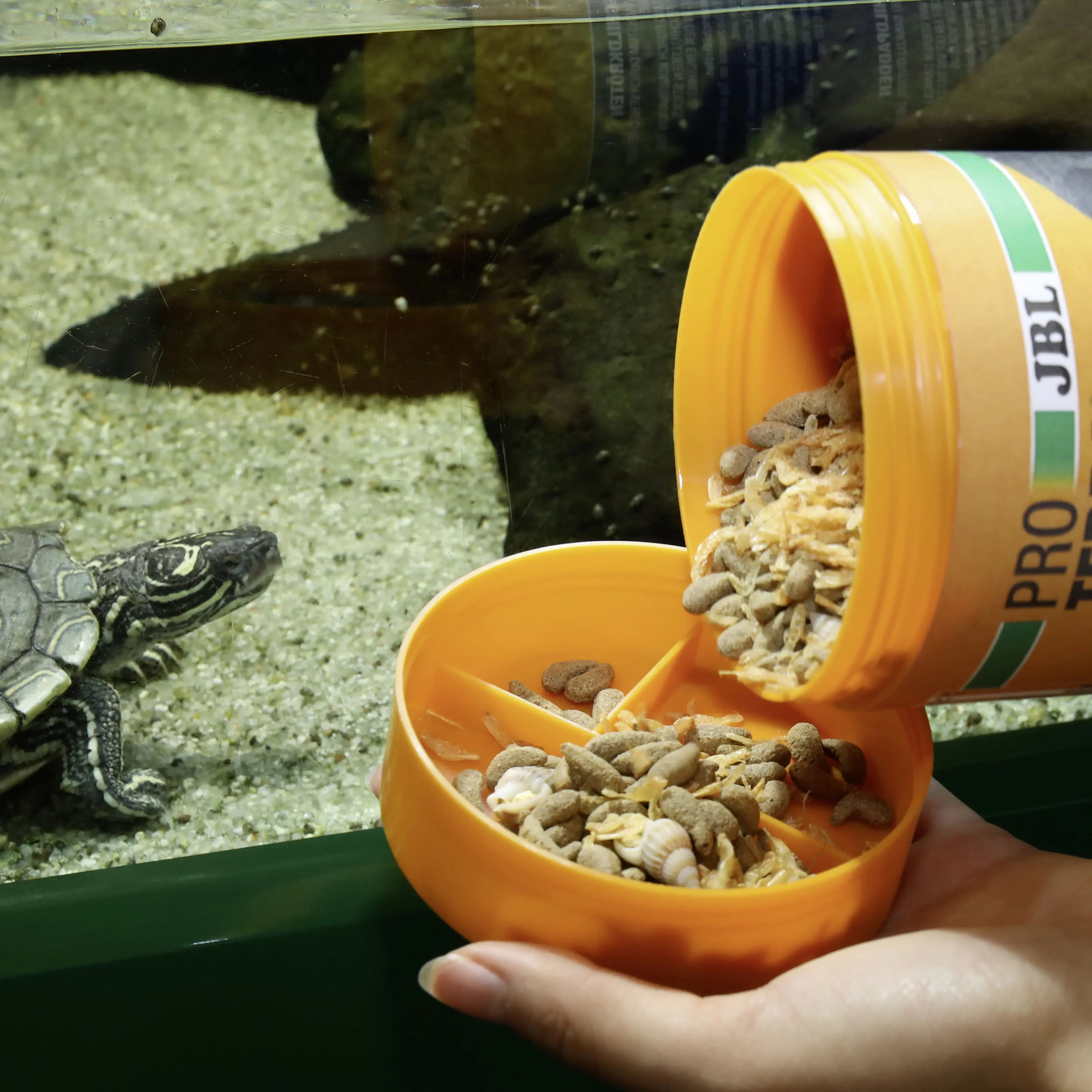 JBL Schildkrötenfutter Proterra Molluscus 250 ml